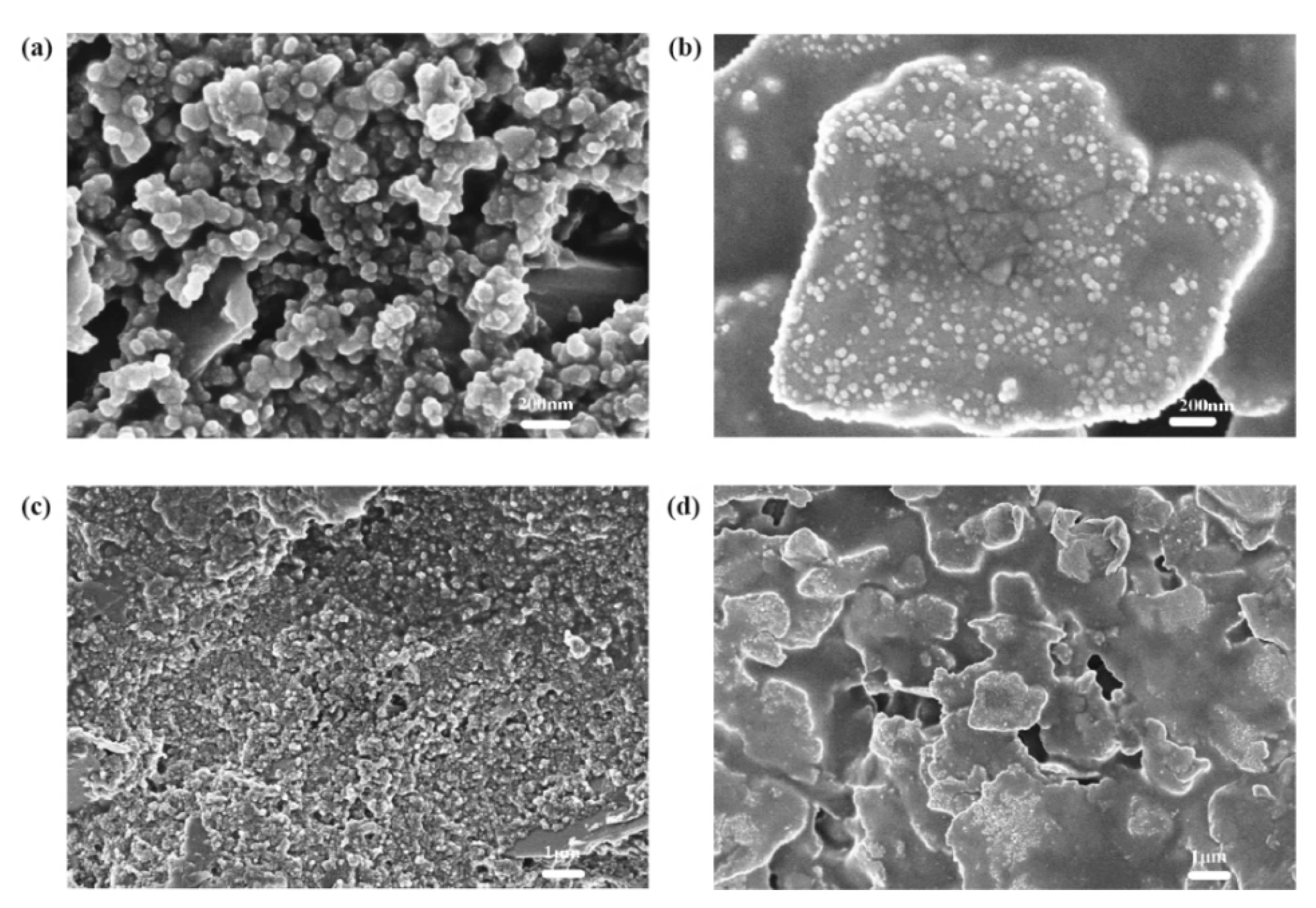 Materials 14 02748 g008