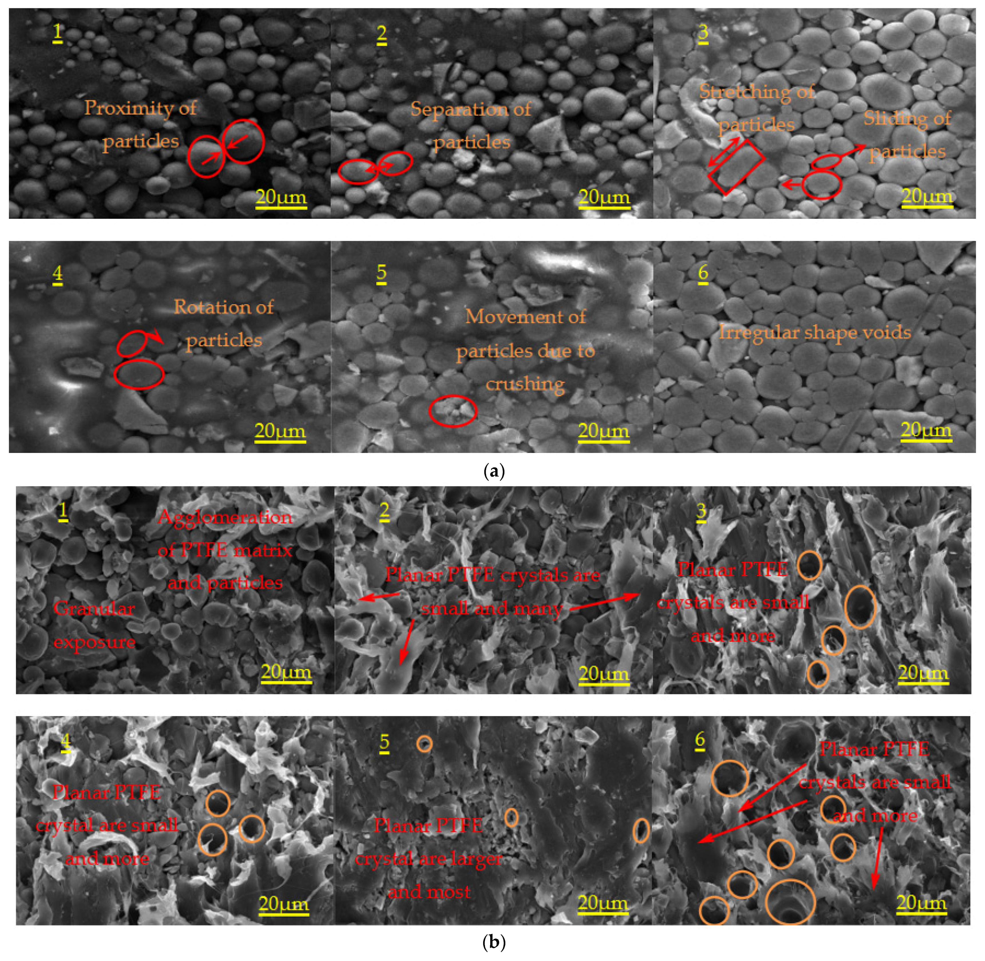 Materials 14 02750 g004a Materials 14 02750 g004a