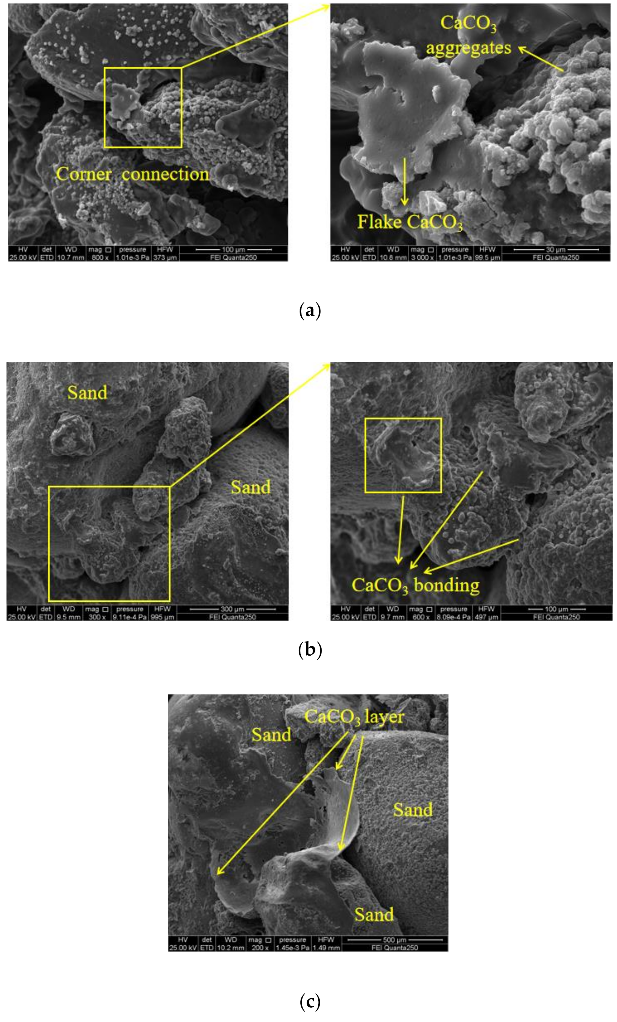 Materials 14 02765 g008