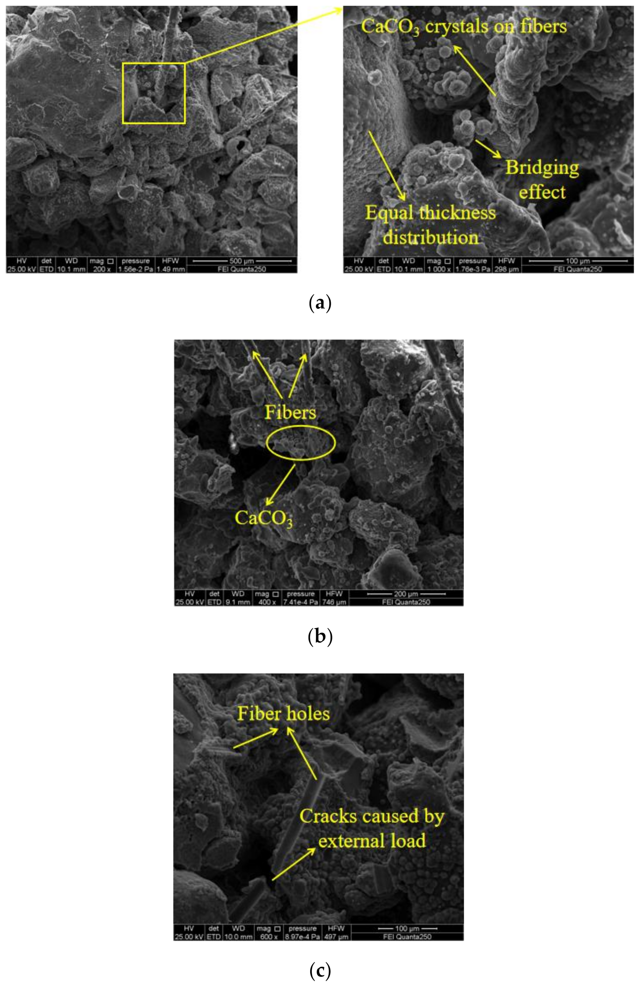 Materials 14 02765 g009
