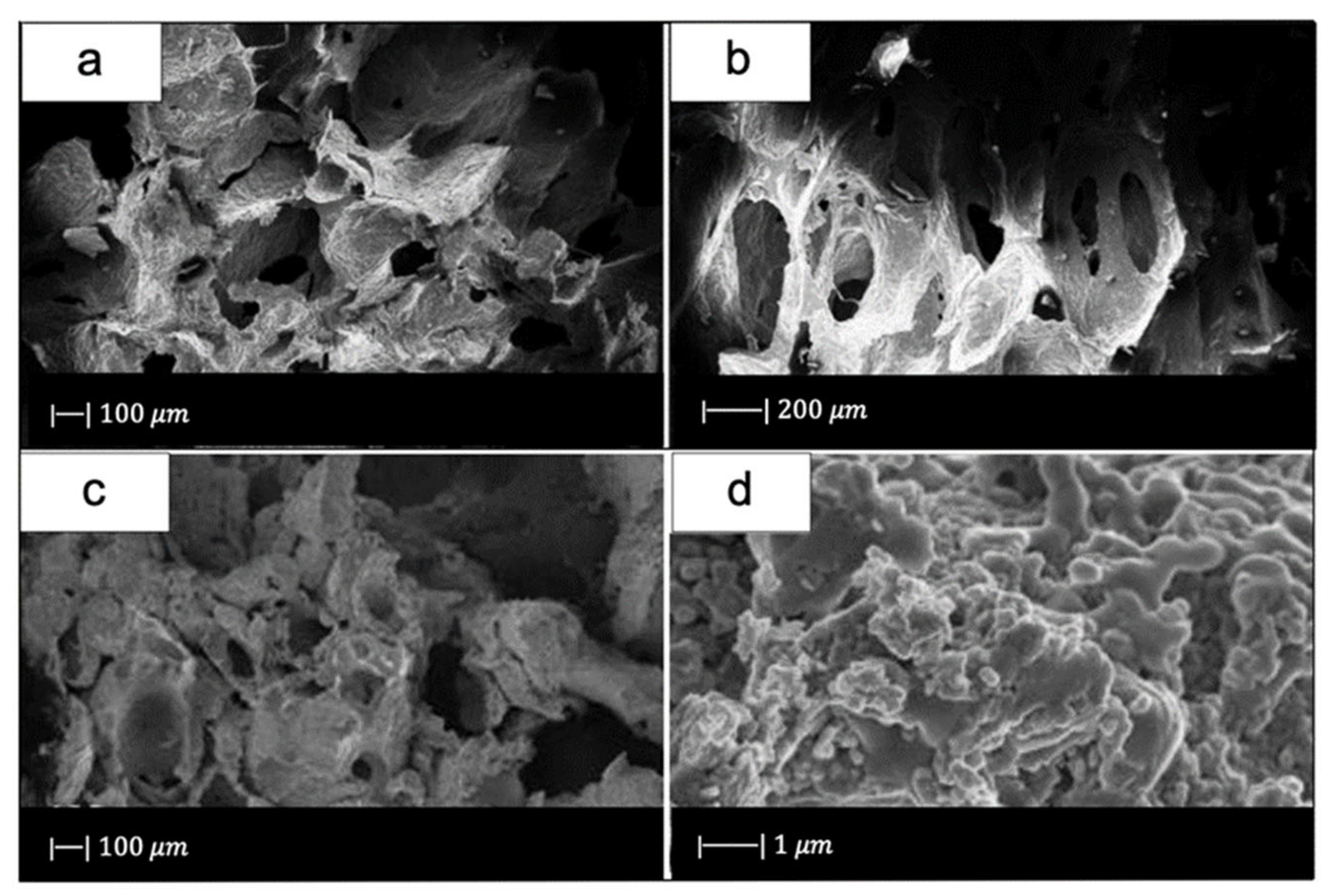 Materials 14 02795 g010 Materials 14 02795 g010