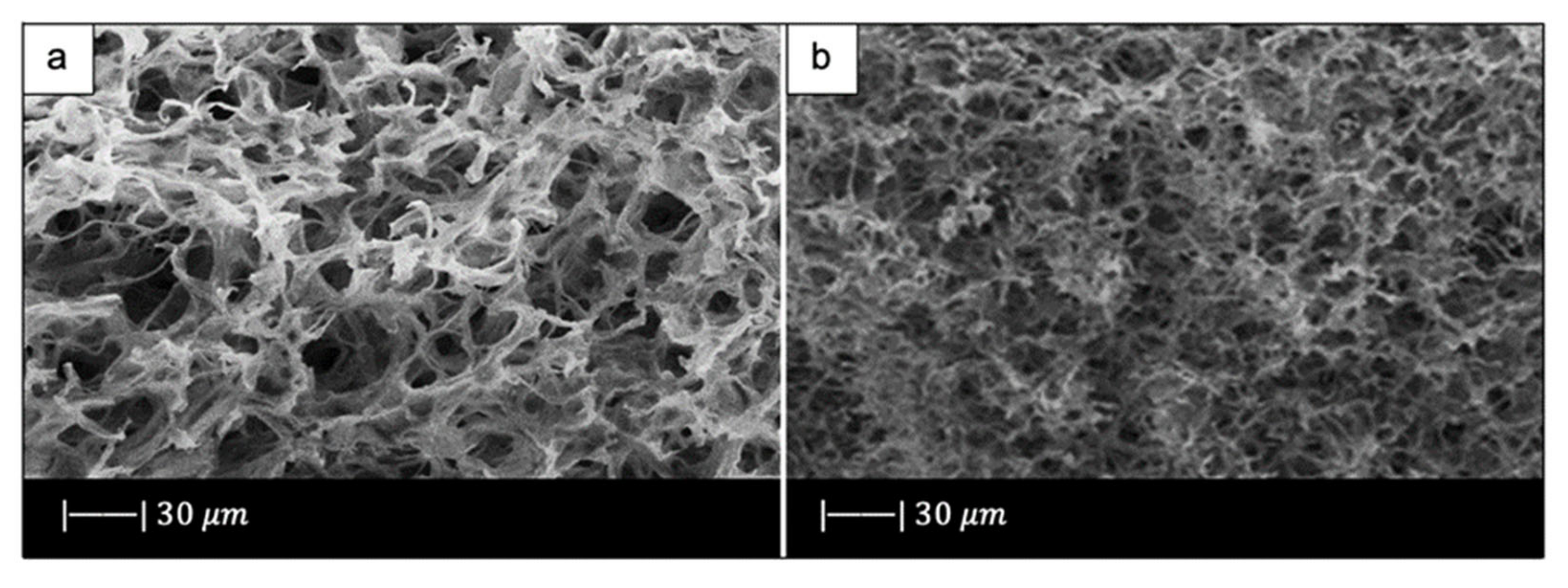 Materials 14 02795 g013 Materials 14 02795 g013