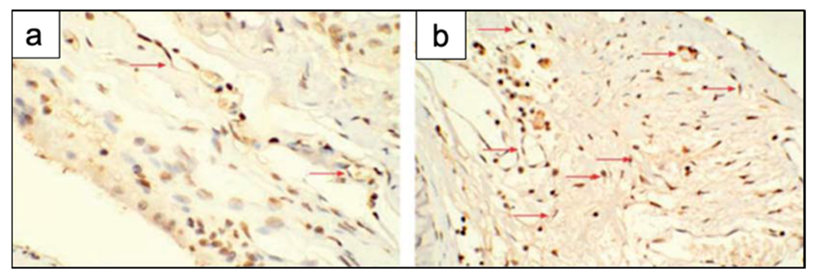 Materials 14 02795 g018 Materials 14 02795 g018
