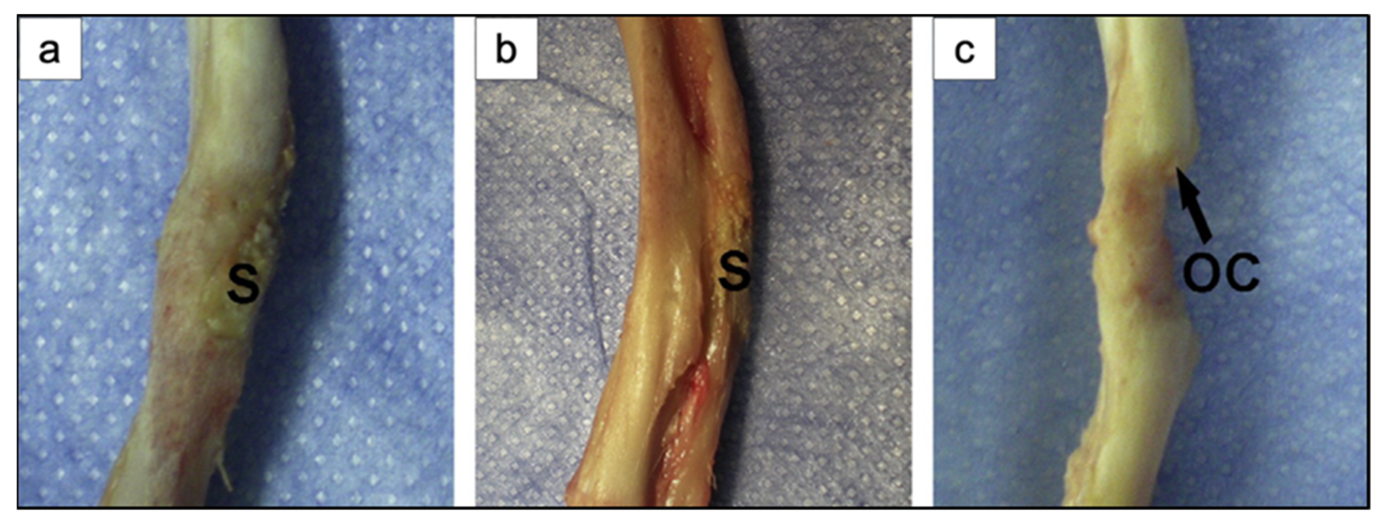 Materials 14 02795 g023 Materials 14 02795 g023