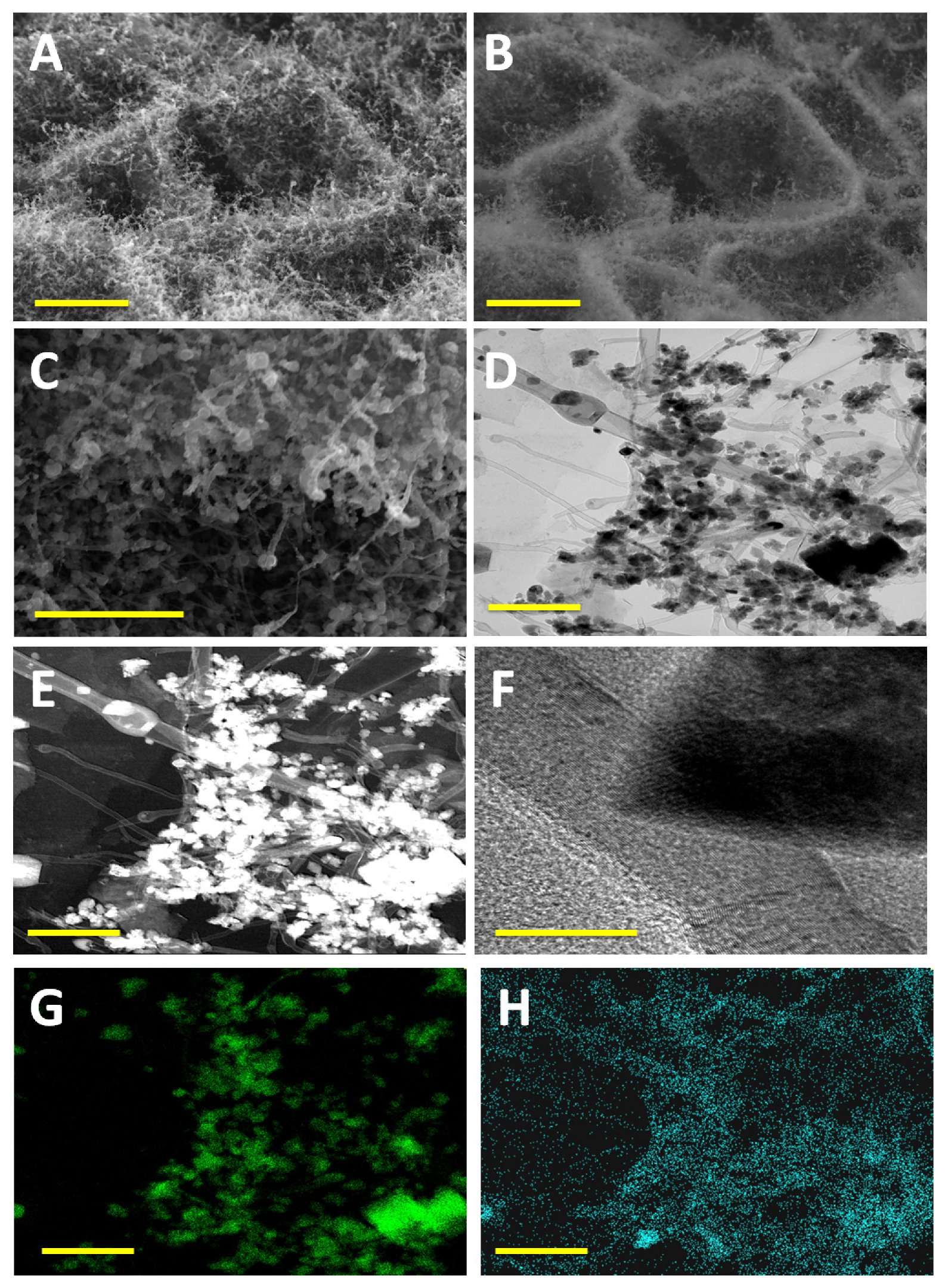 Materials 14 02871 g001 Materials 14 02871 g001