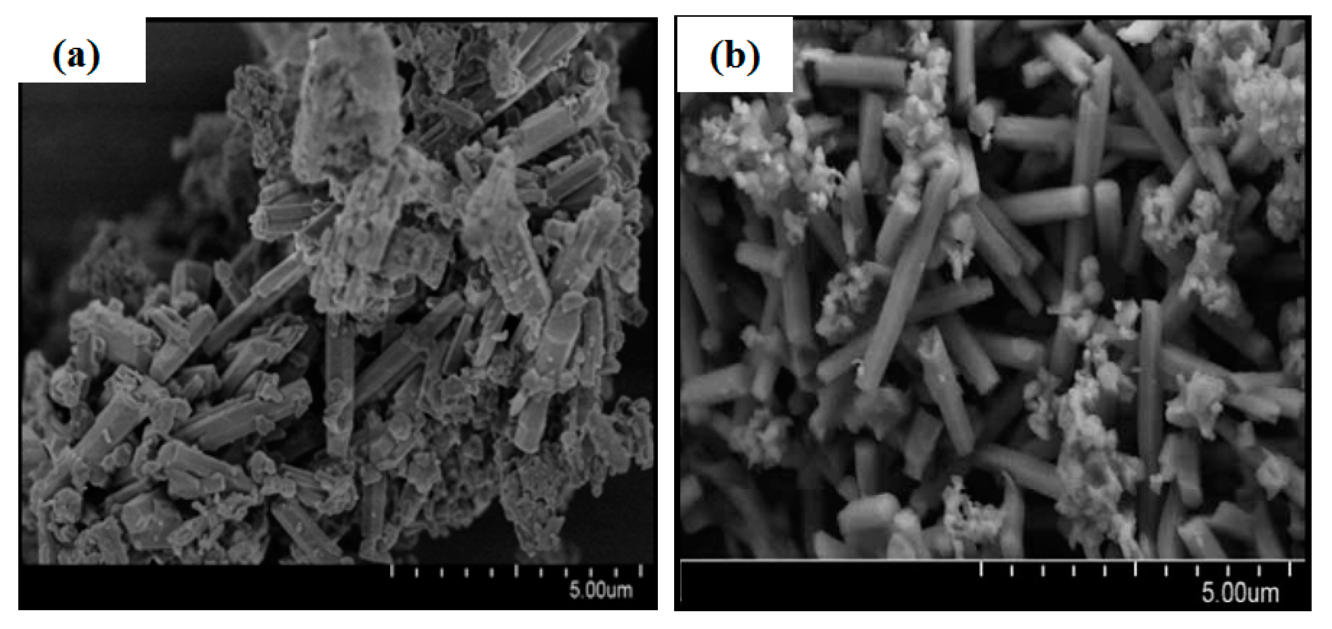 Materials 14 02890 g004