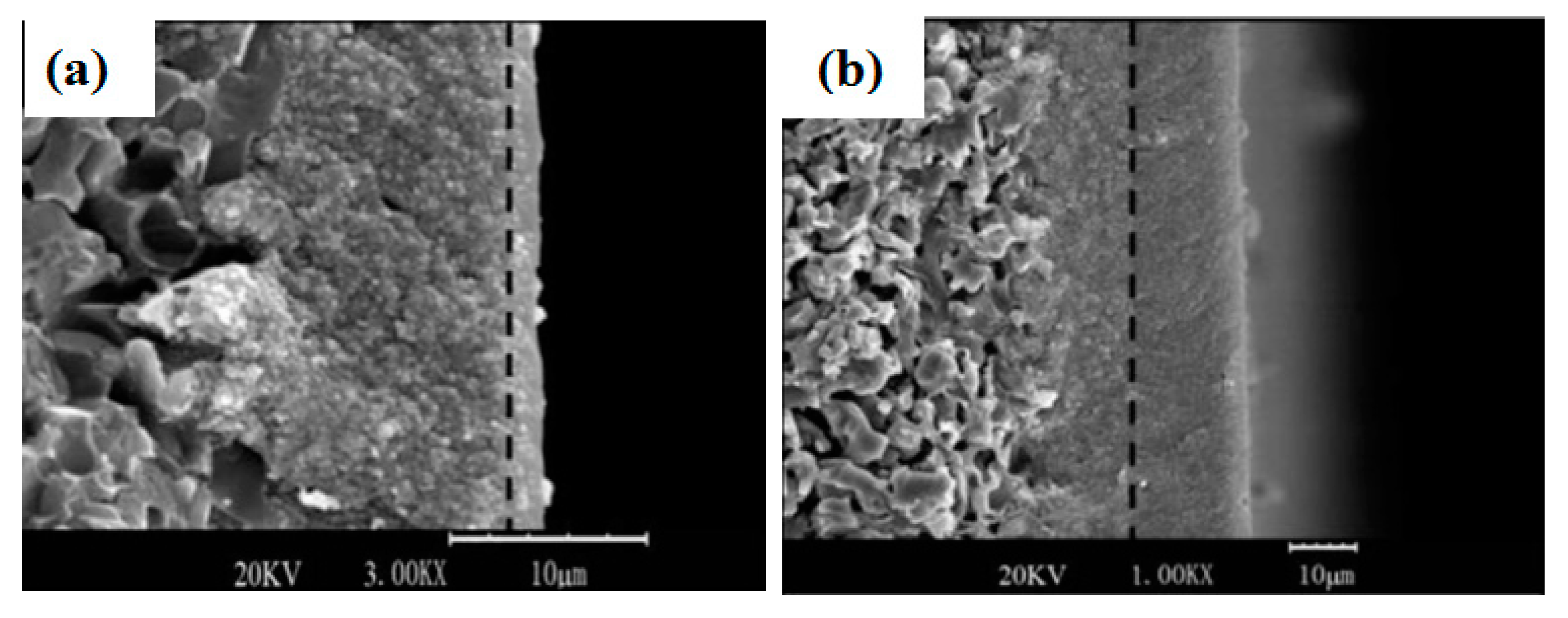 Materials 14 02890 g006