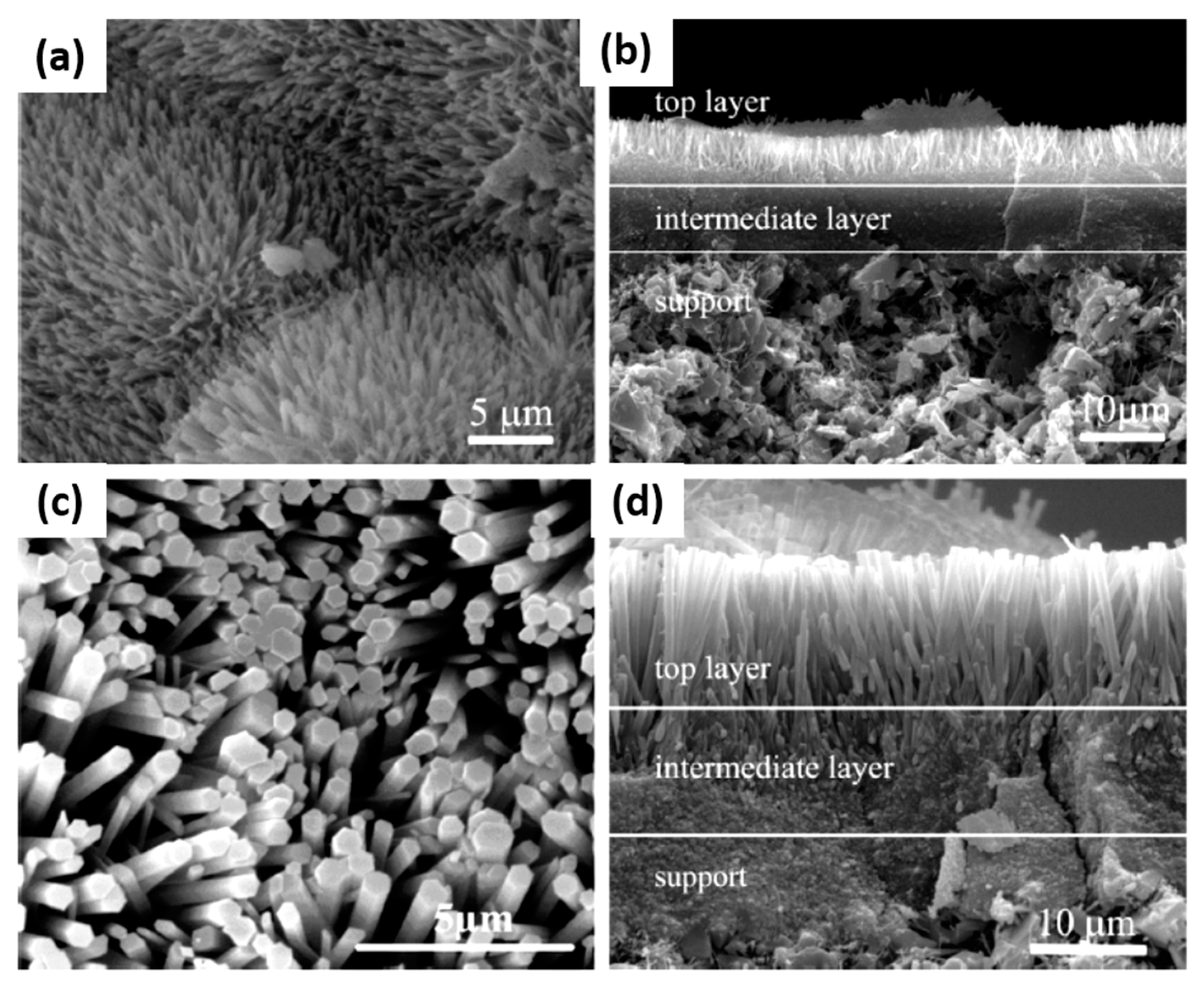 Materials 14 02890 g007
