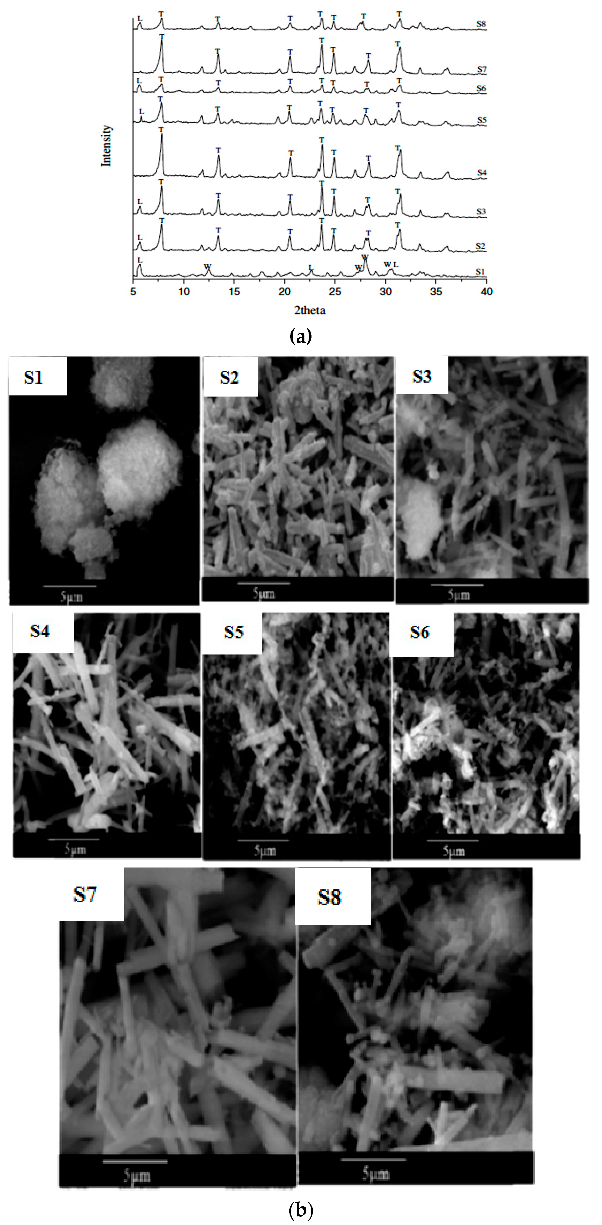 Materials 14 02890 g008