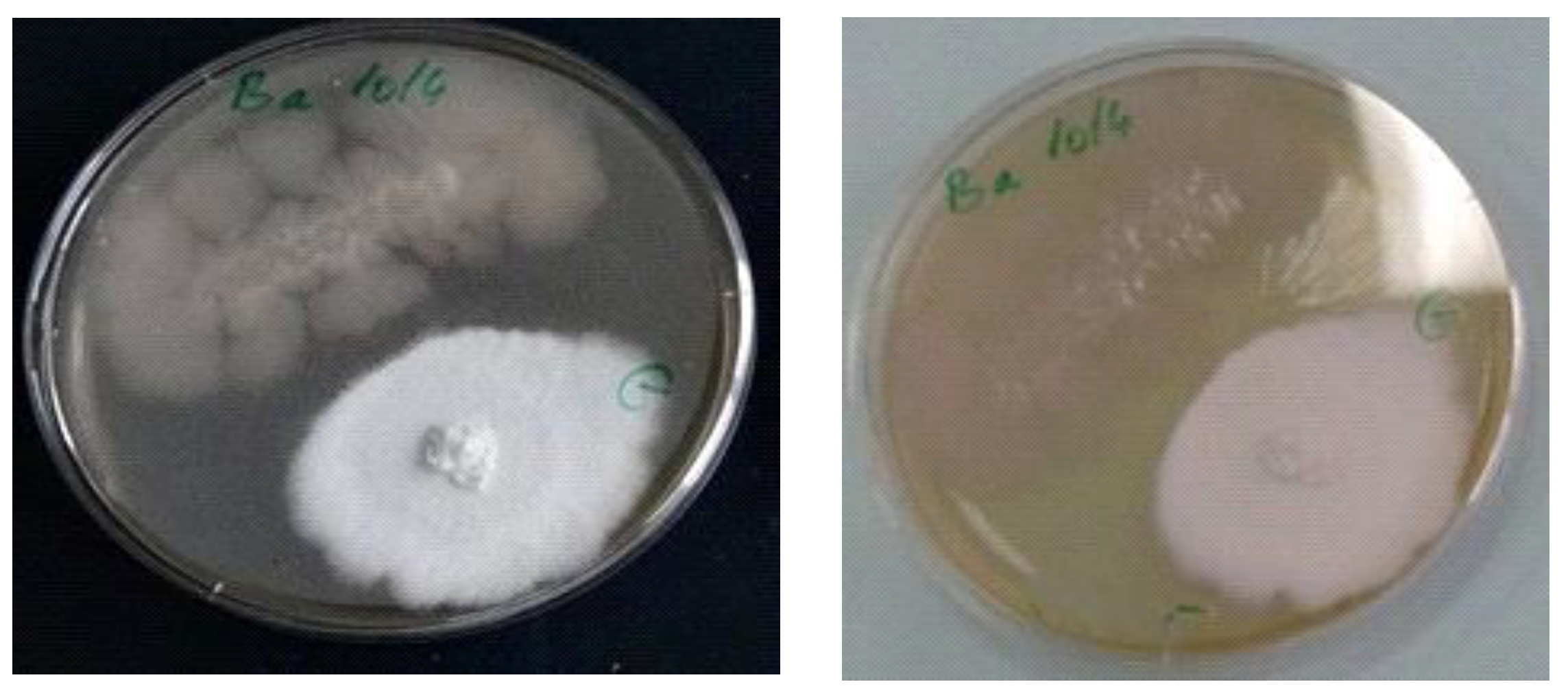 Materials 14 02906 g003