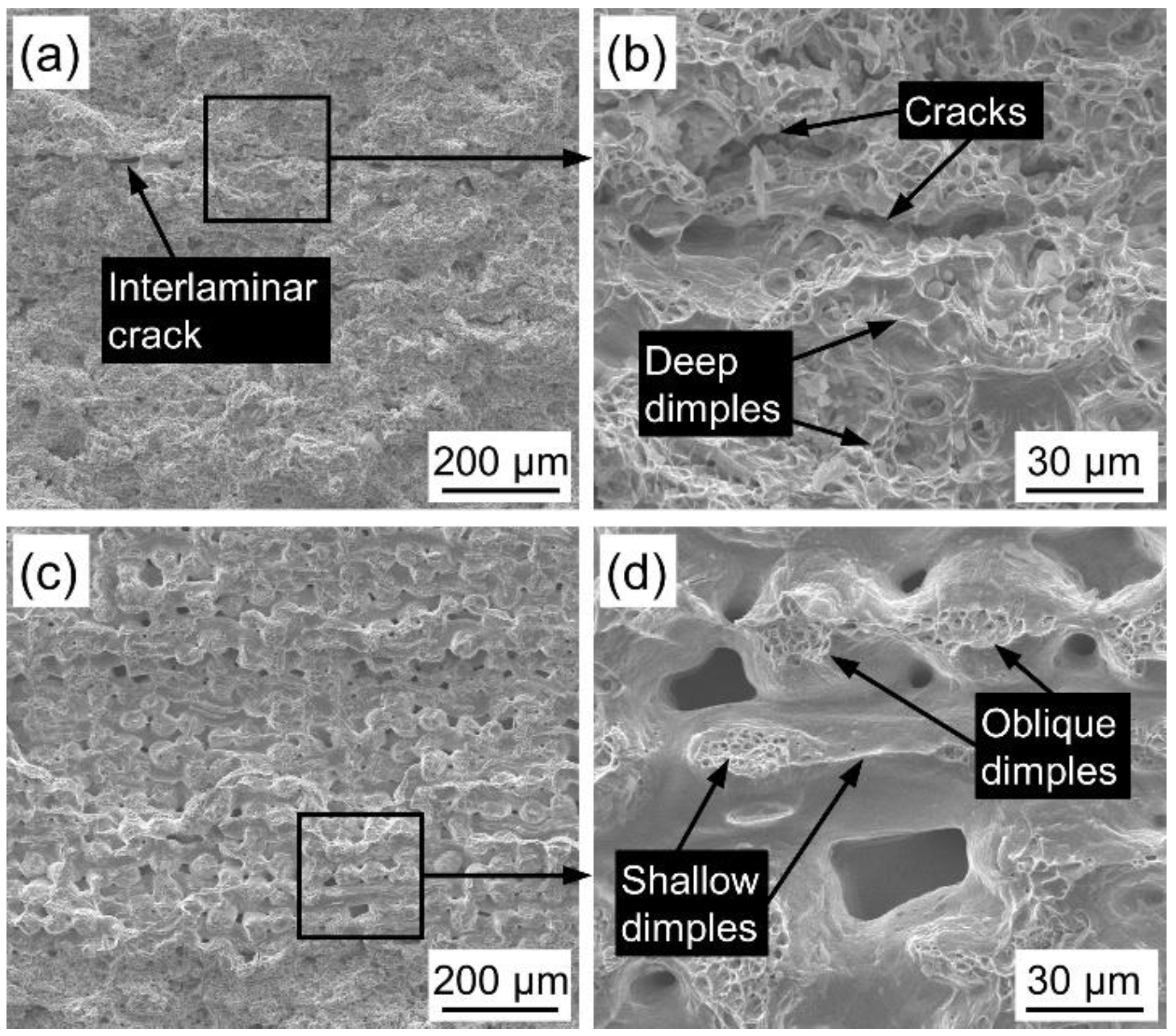 Materials 14 02924 g007 Materials 14 02924 g007