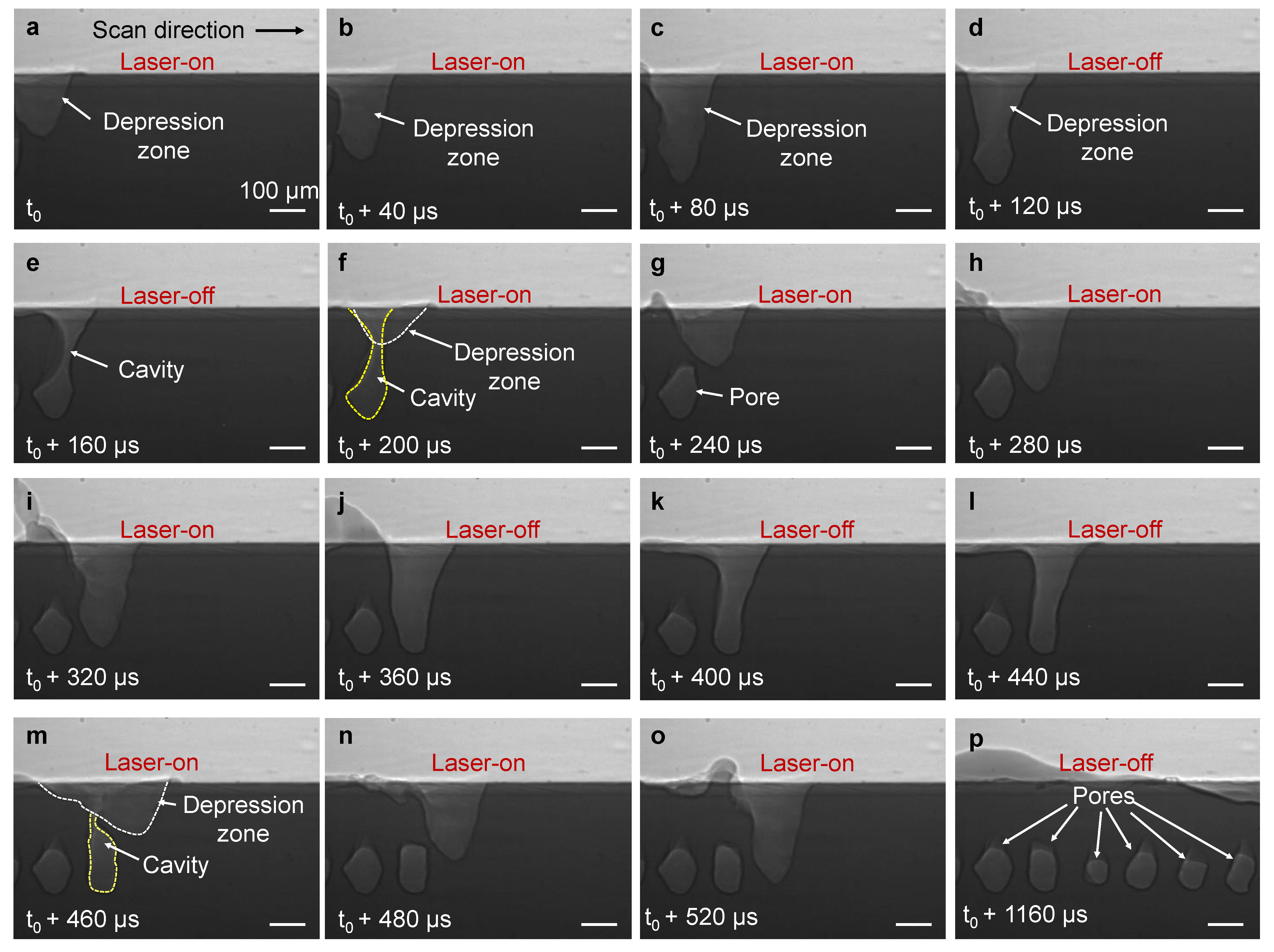 Materials 14 02936 g005