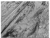 Materials 14 02960 i014