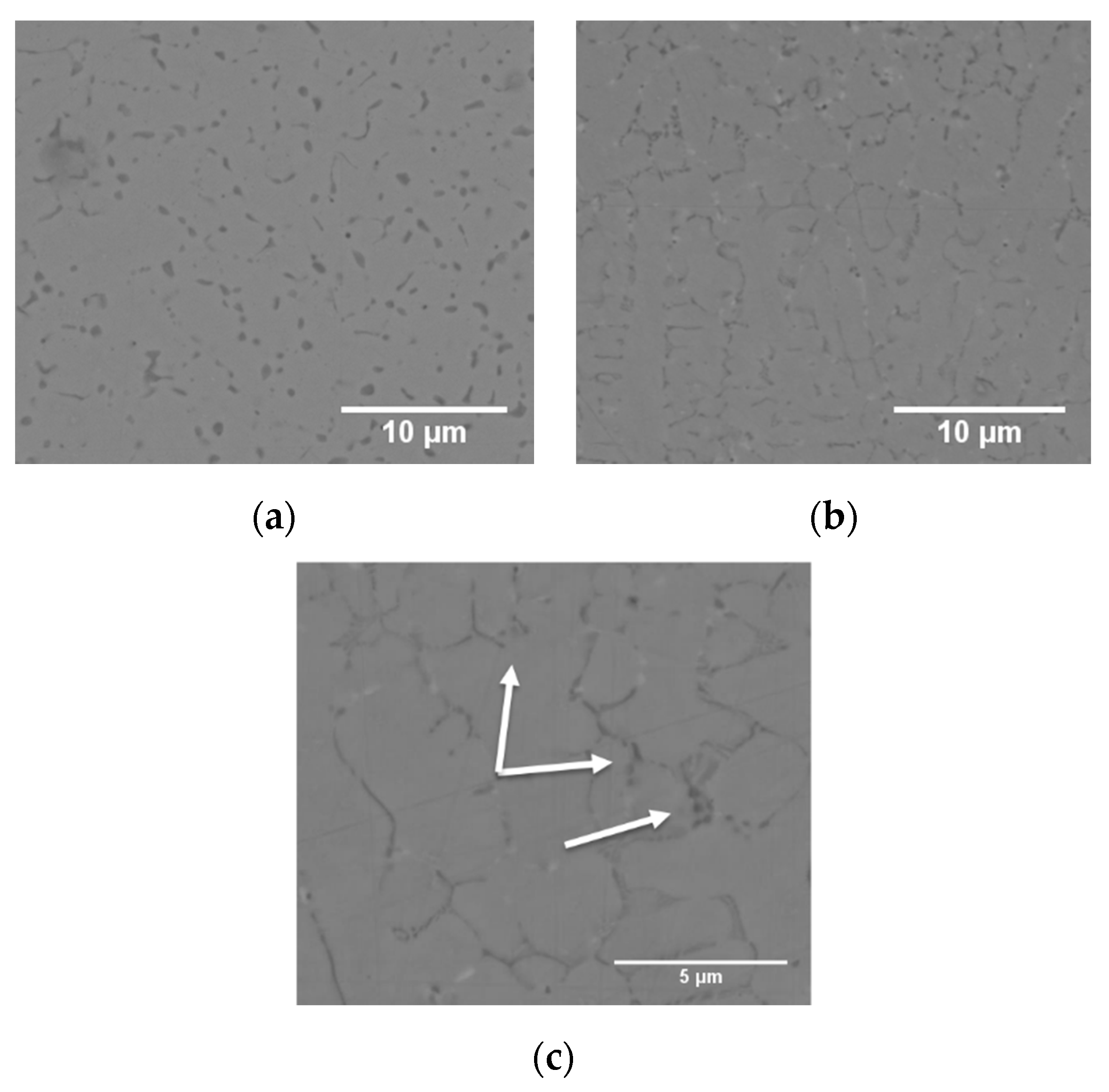Materials 14 02963 g004 Materials 14 02963 g004
