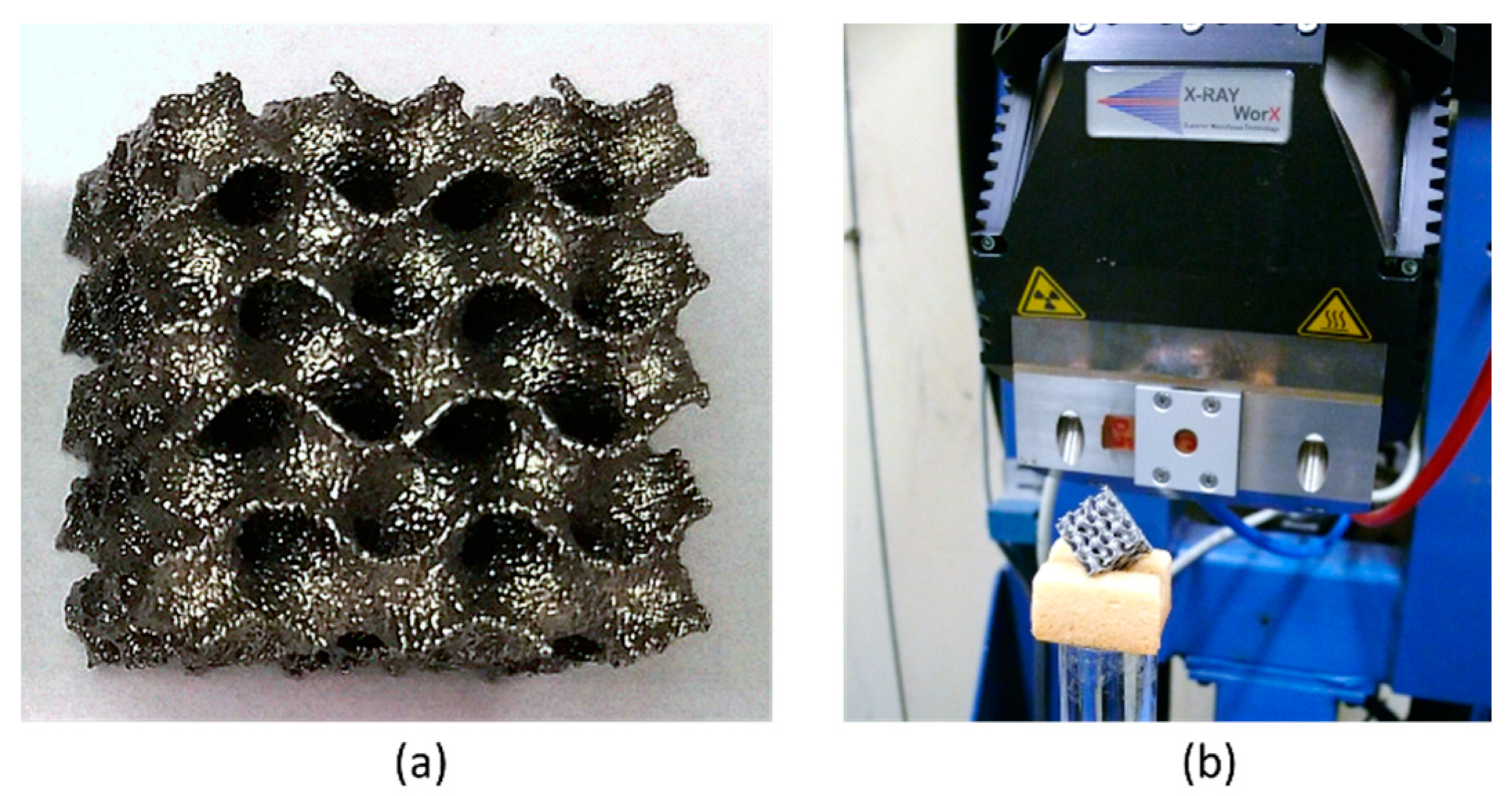 Materials 14 03002 g002