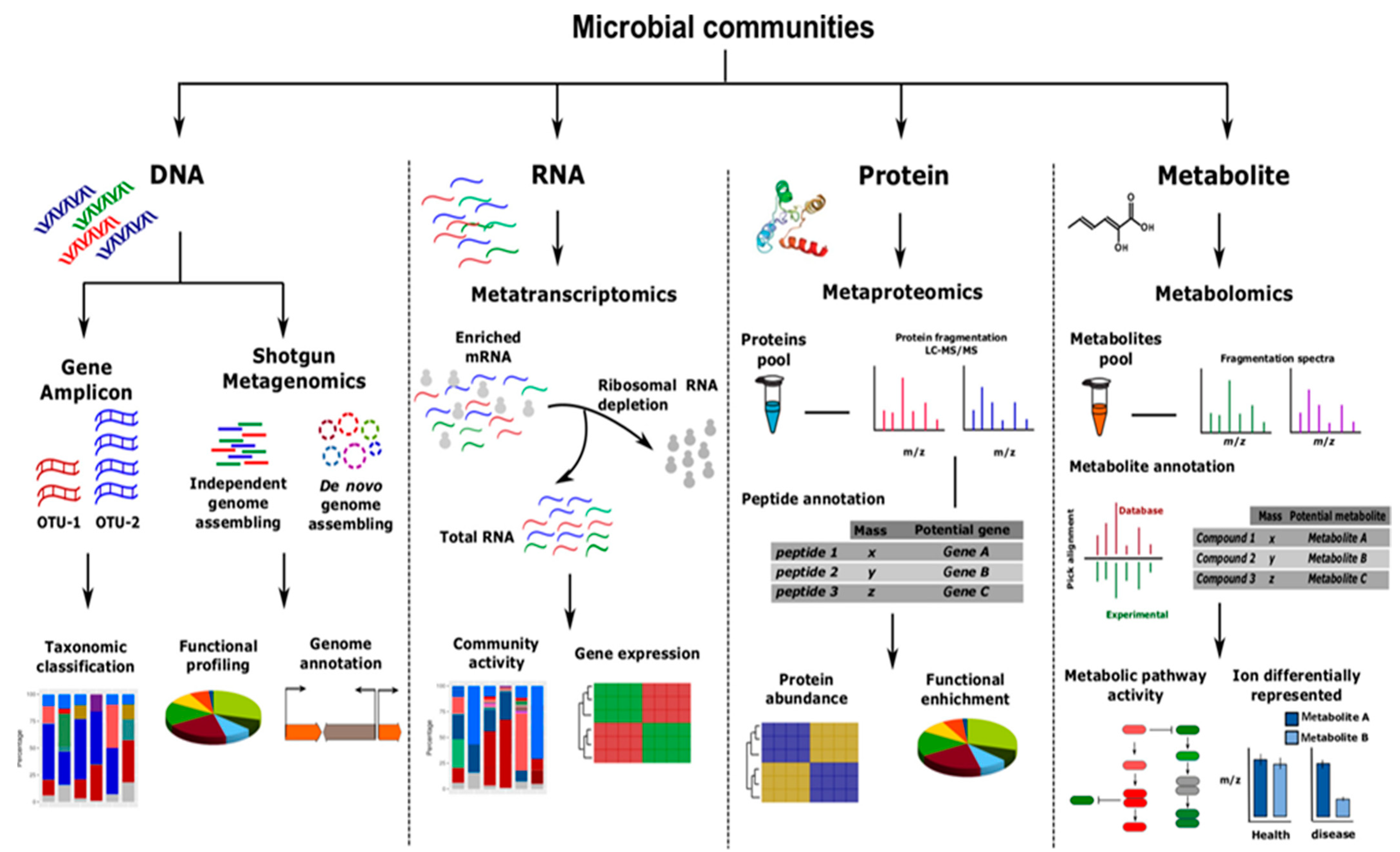 Materials 14 03027 g006