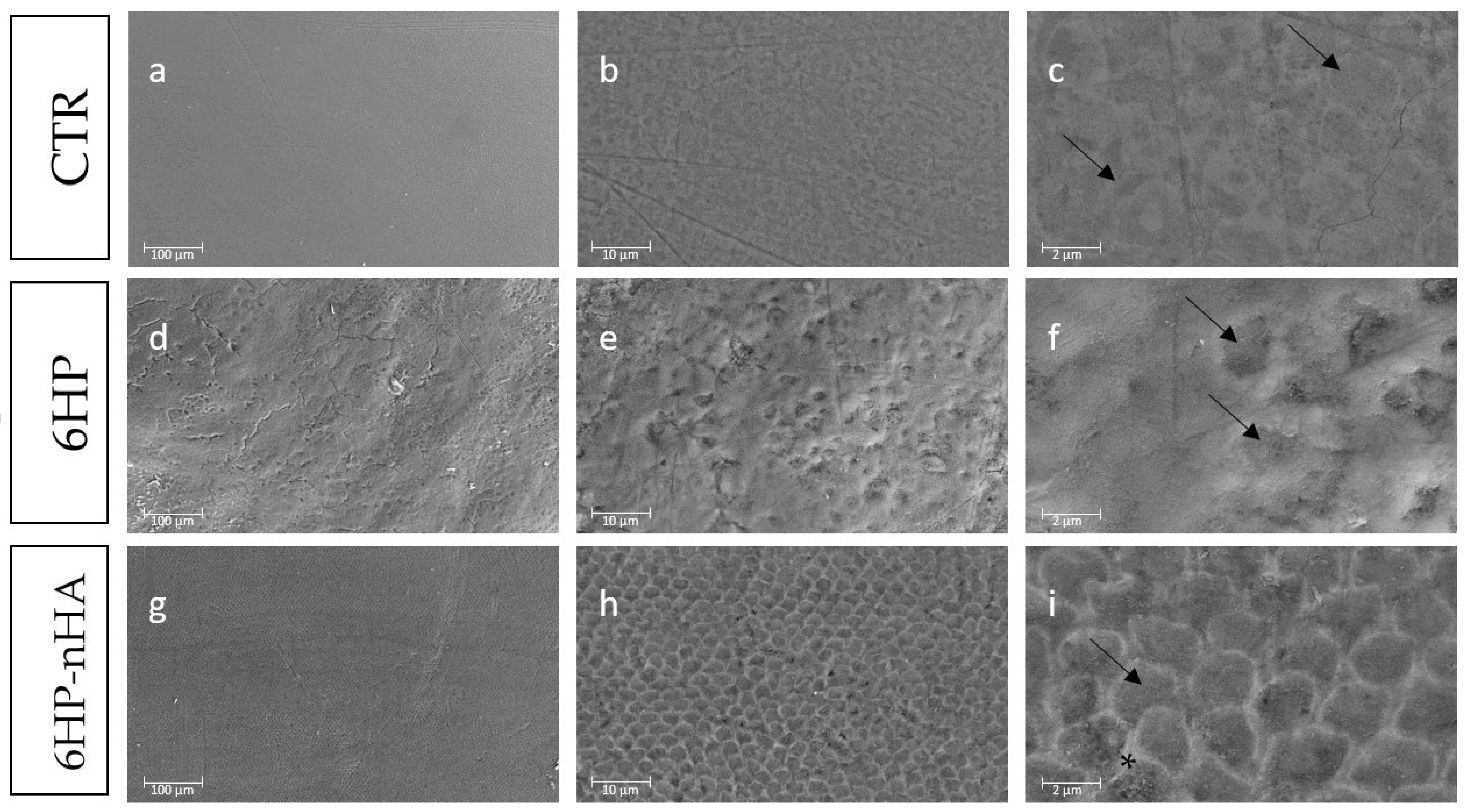 Materials 14 03072 g002 Materials 14 03072 g002