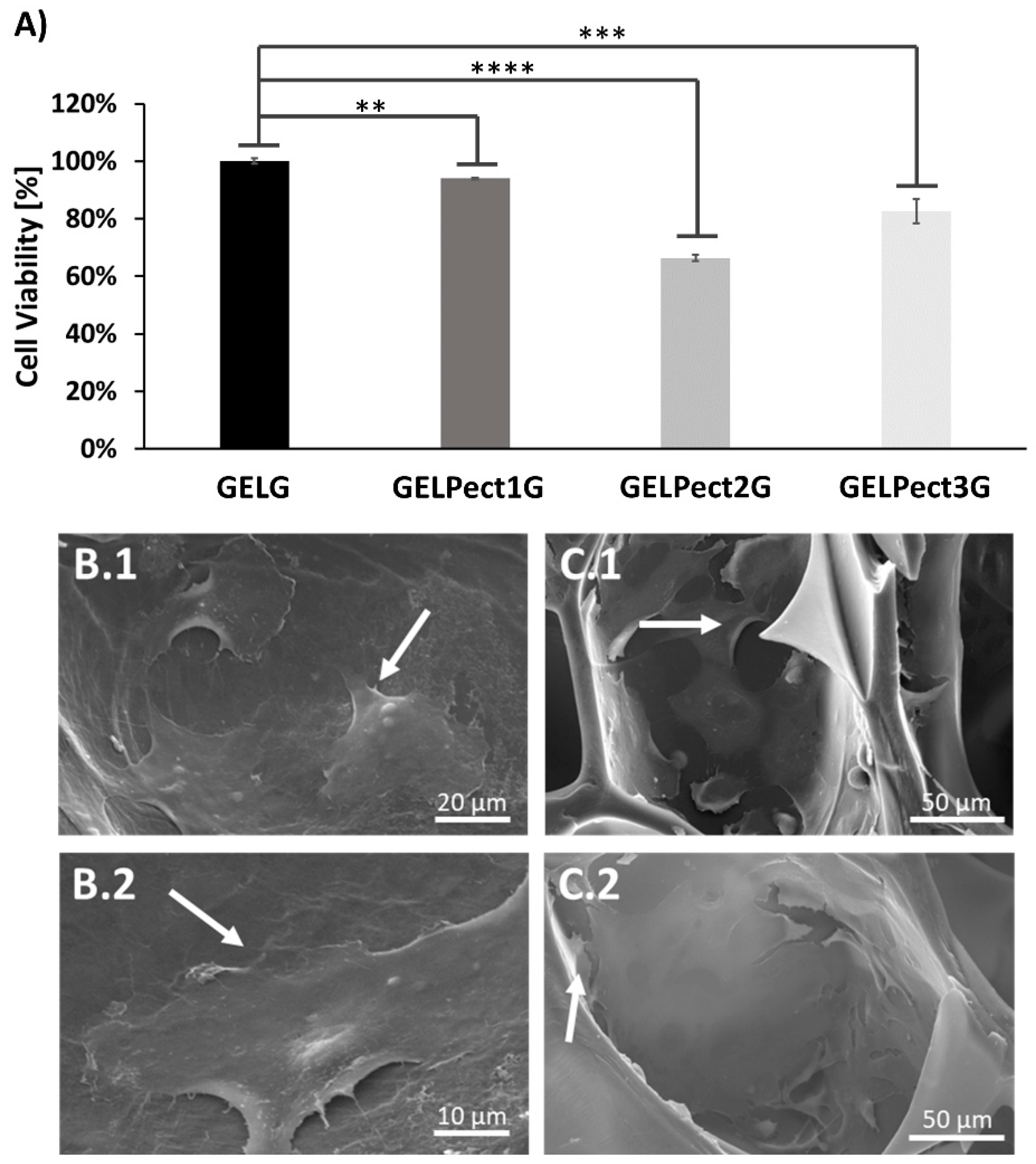 Materials 14 03109 g004 Materials 14 03109 g004