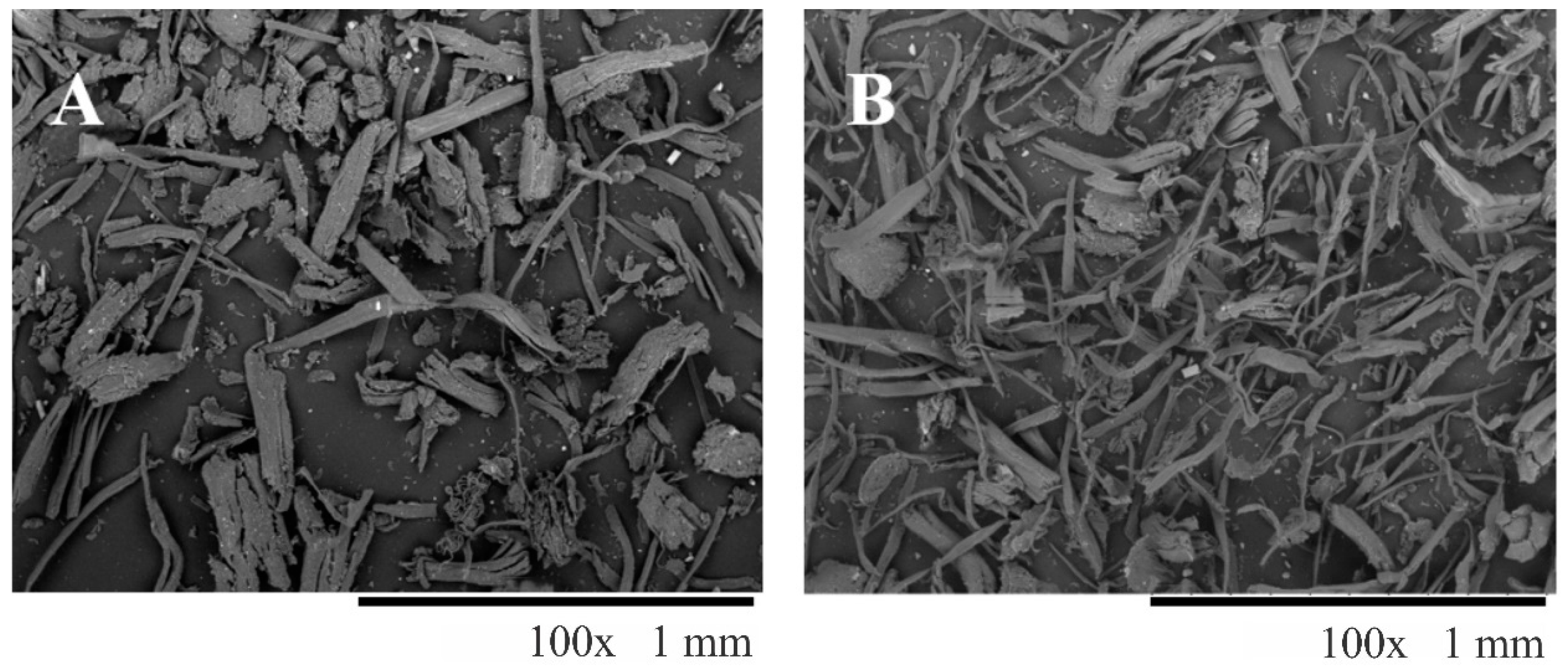 Materials 14 03111 g001 Materials 14 03111 g001