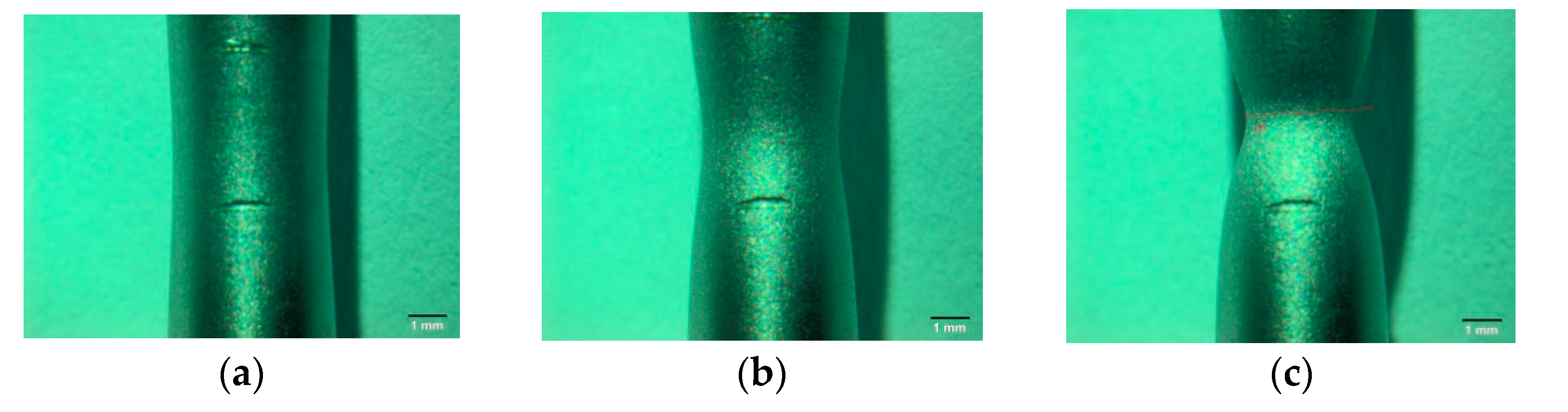 Materials 14 03117 g007