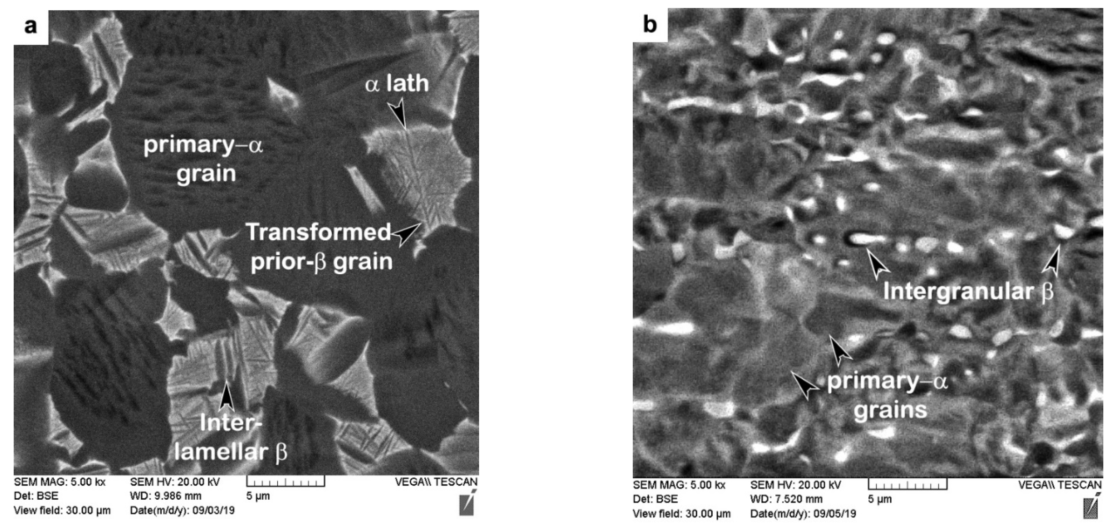 Materials 14 03136 g001