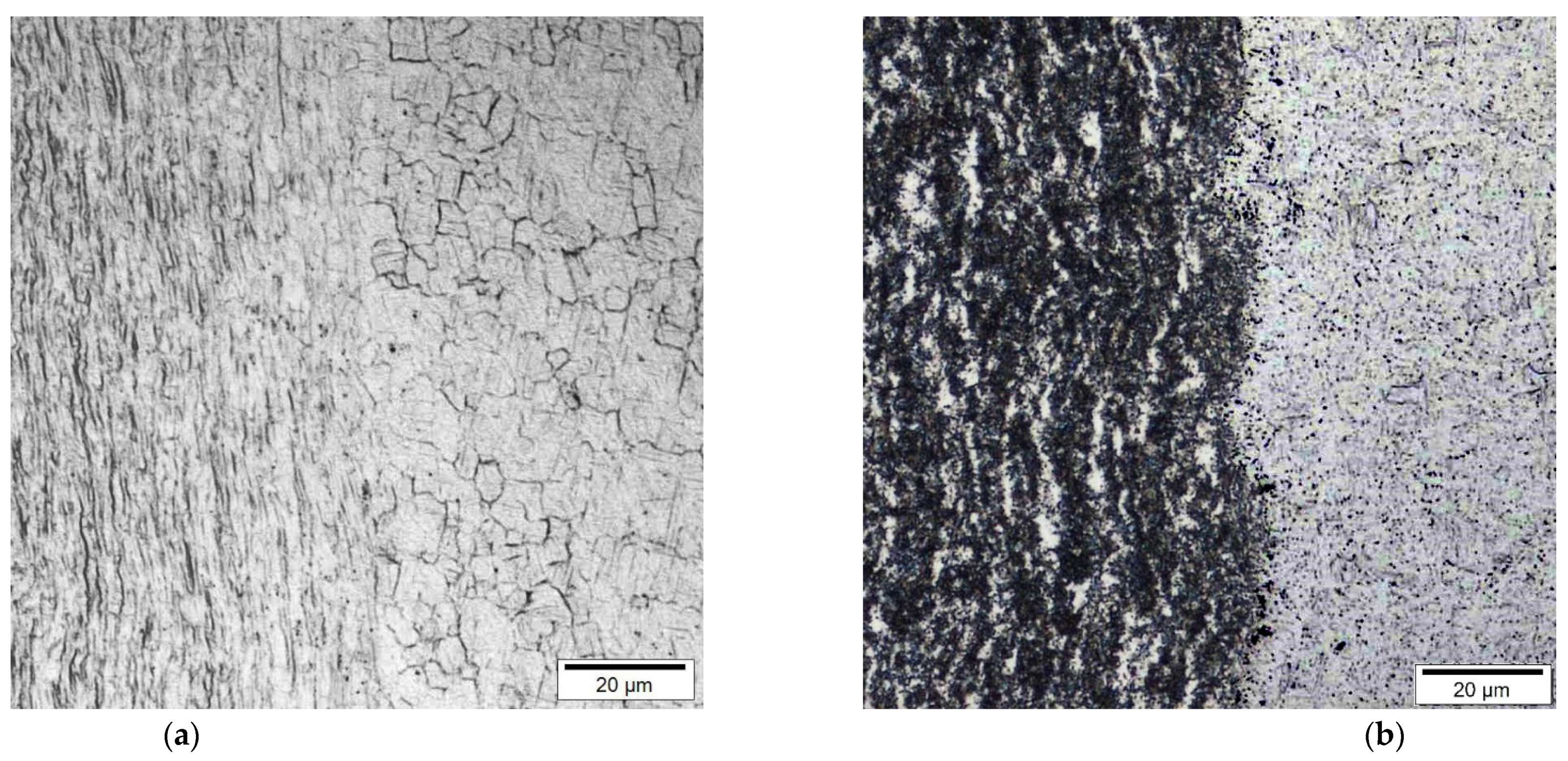 Materials 14 03136 g005