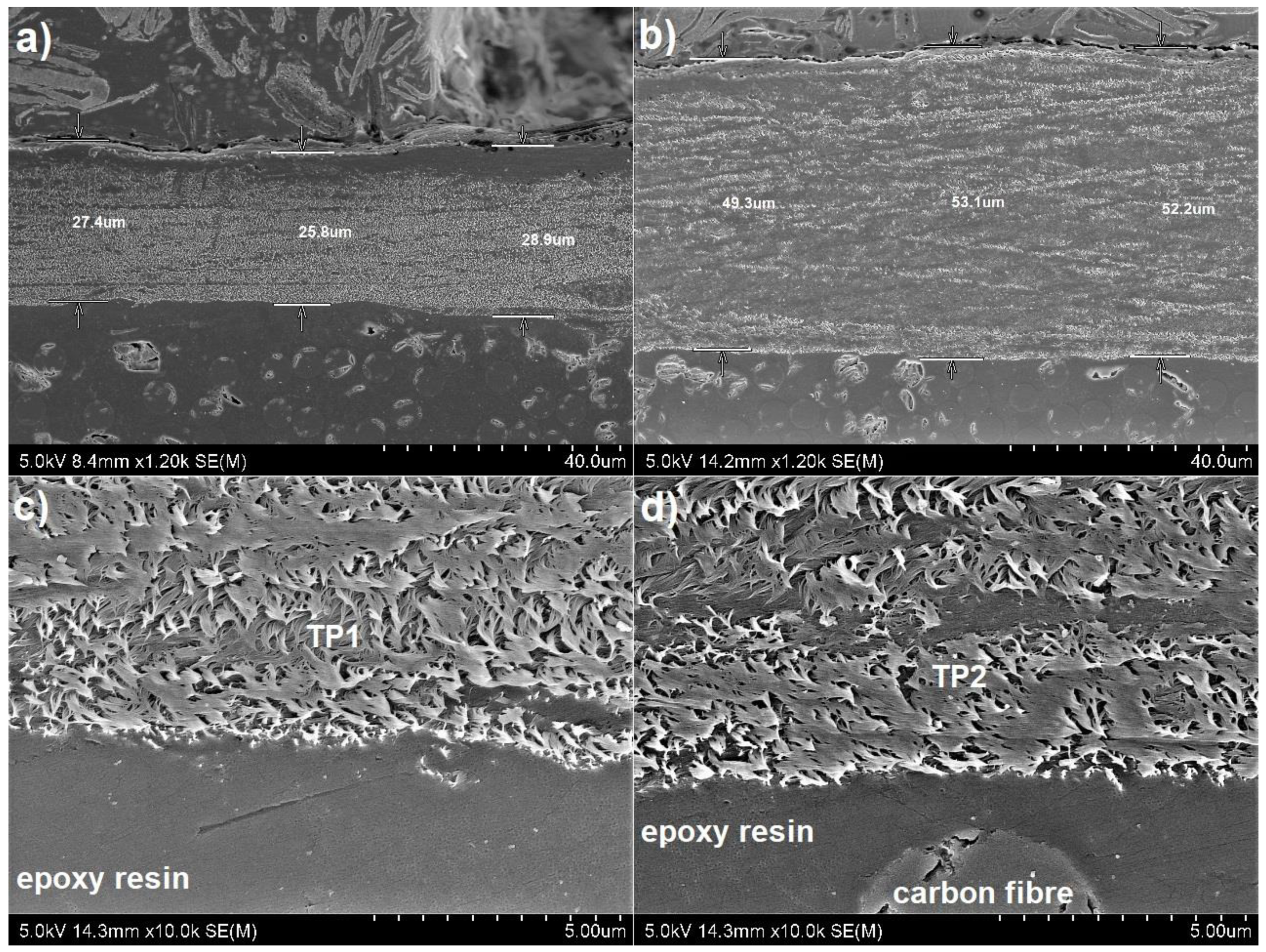 Materials 14 03140 g008