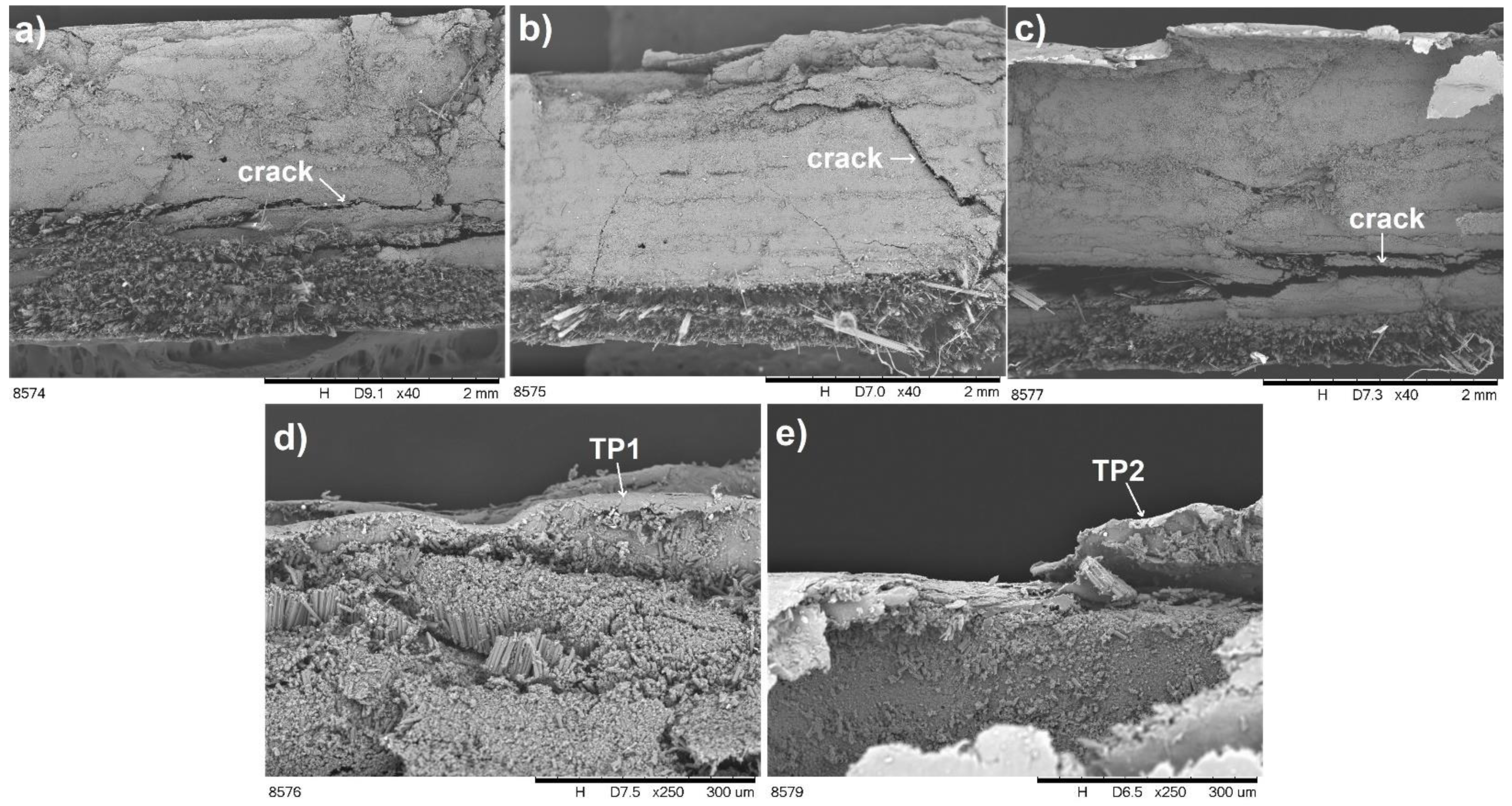 Materials 14 03140 g010