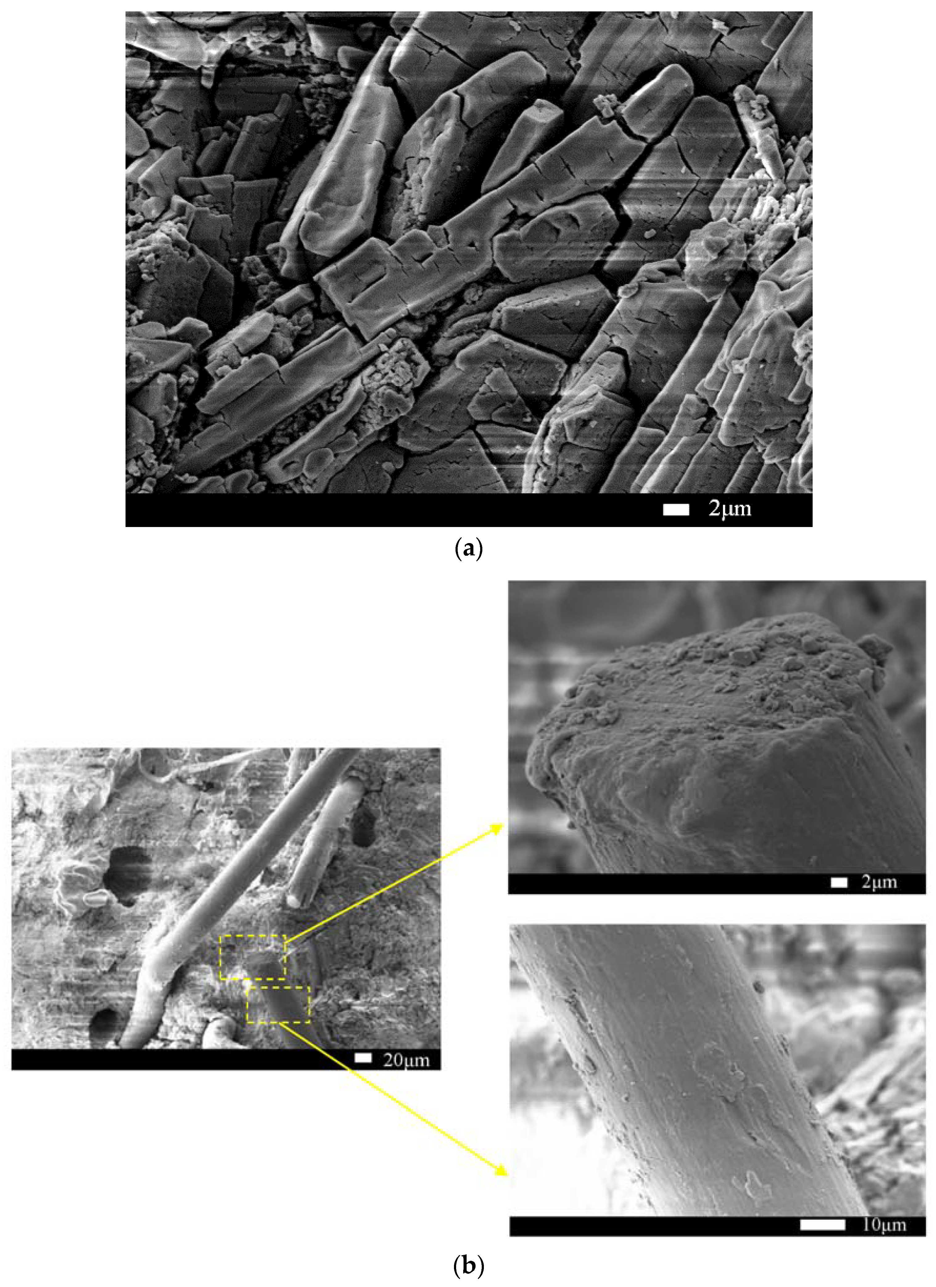 Materials 14 03169 g012 Materials 14 03169 g012