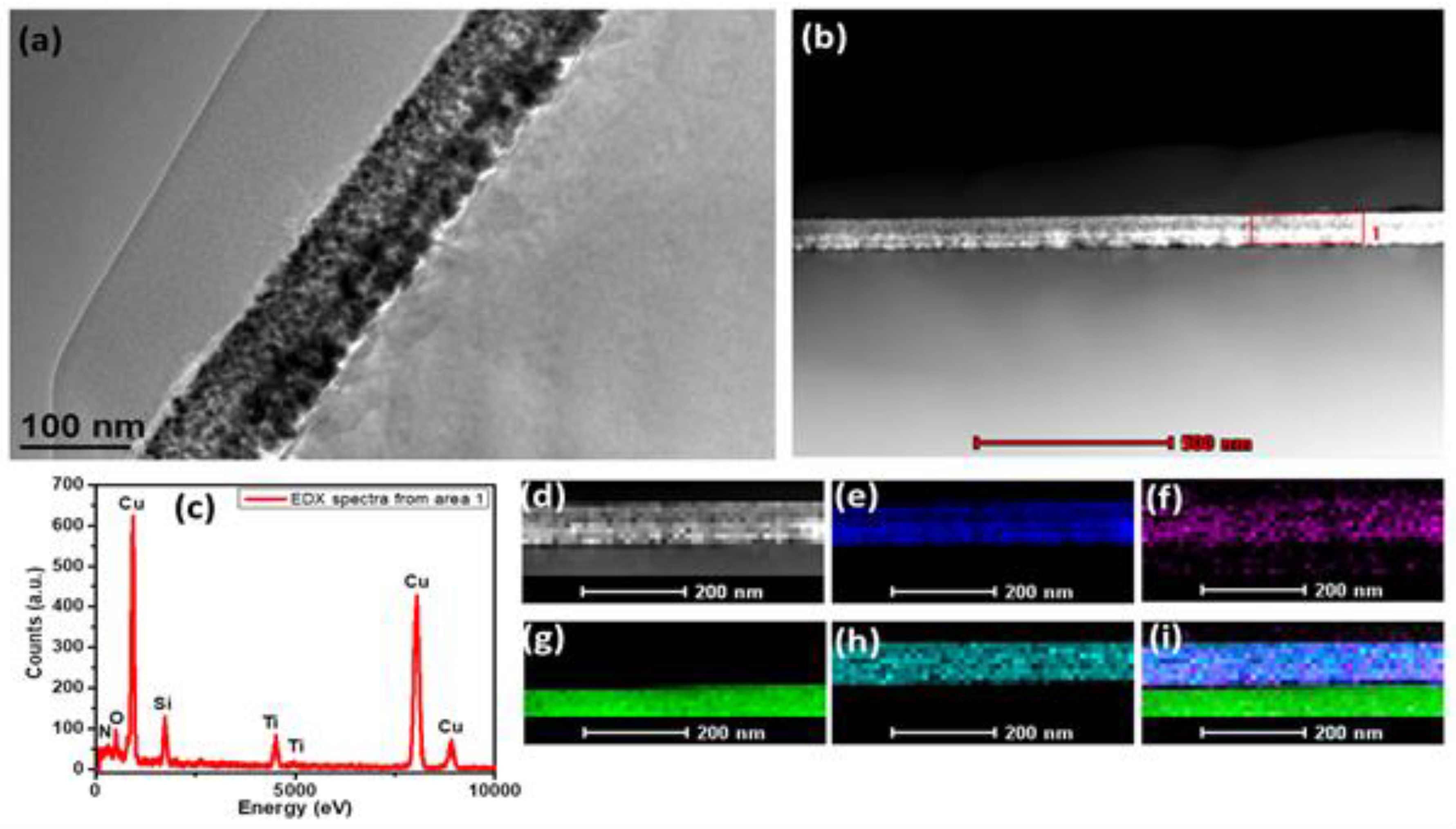 Materials 14 03191 g010