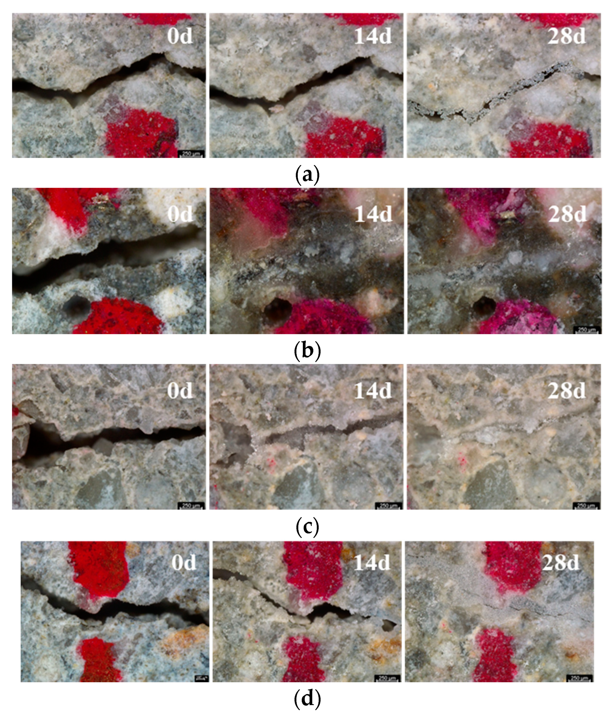 Materials 14 03202 g006