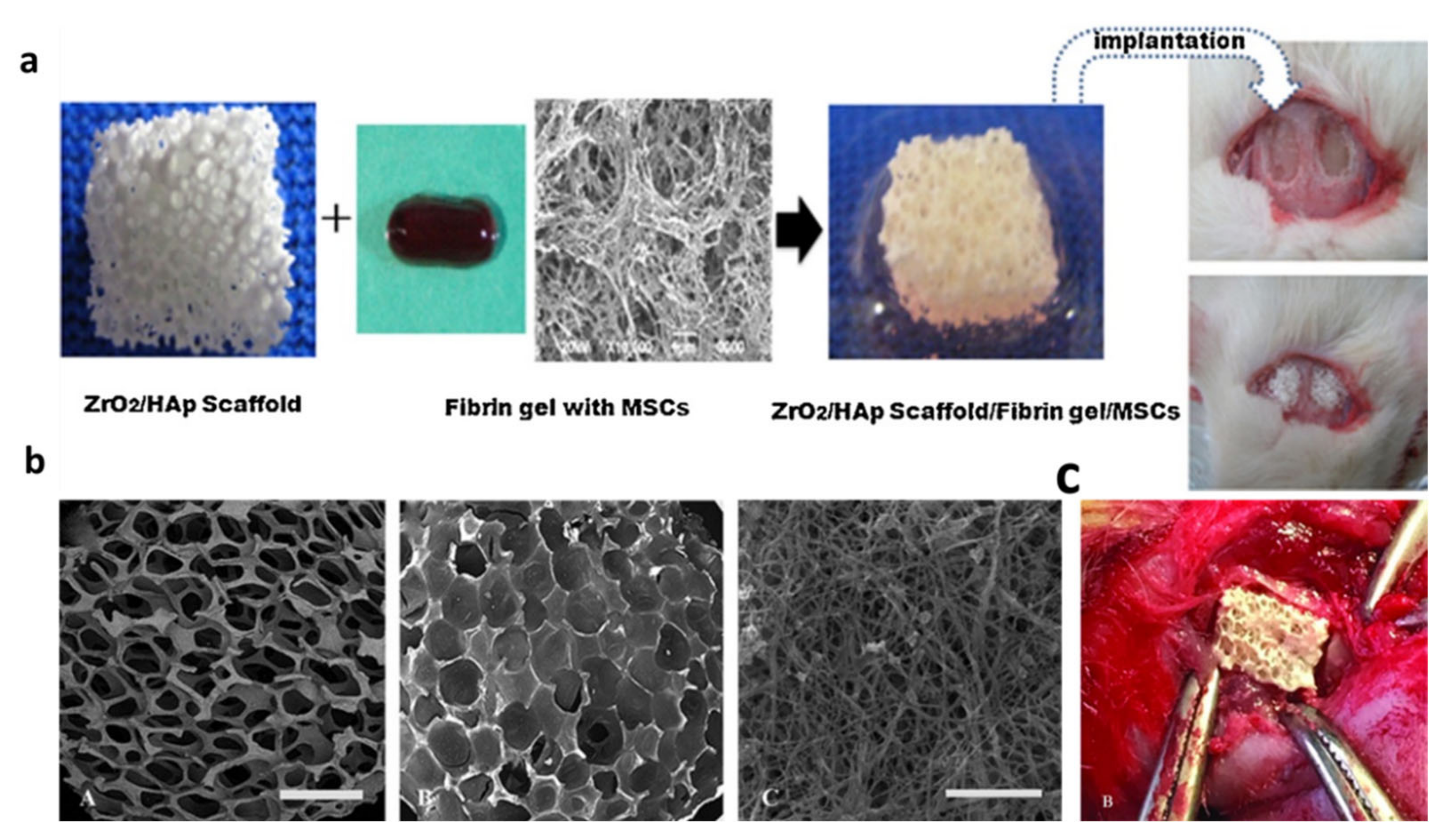 Materials 14 03207 g001 Materials 14 03207 g001