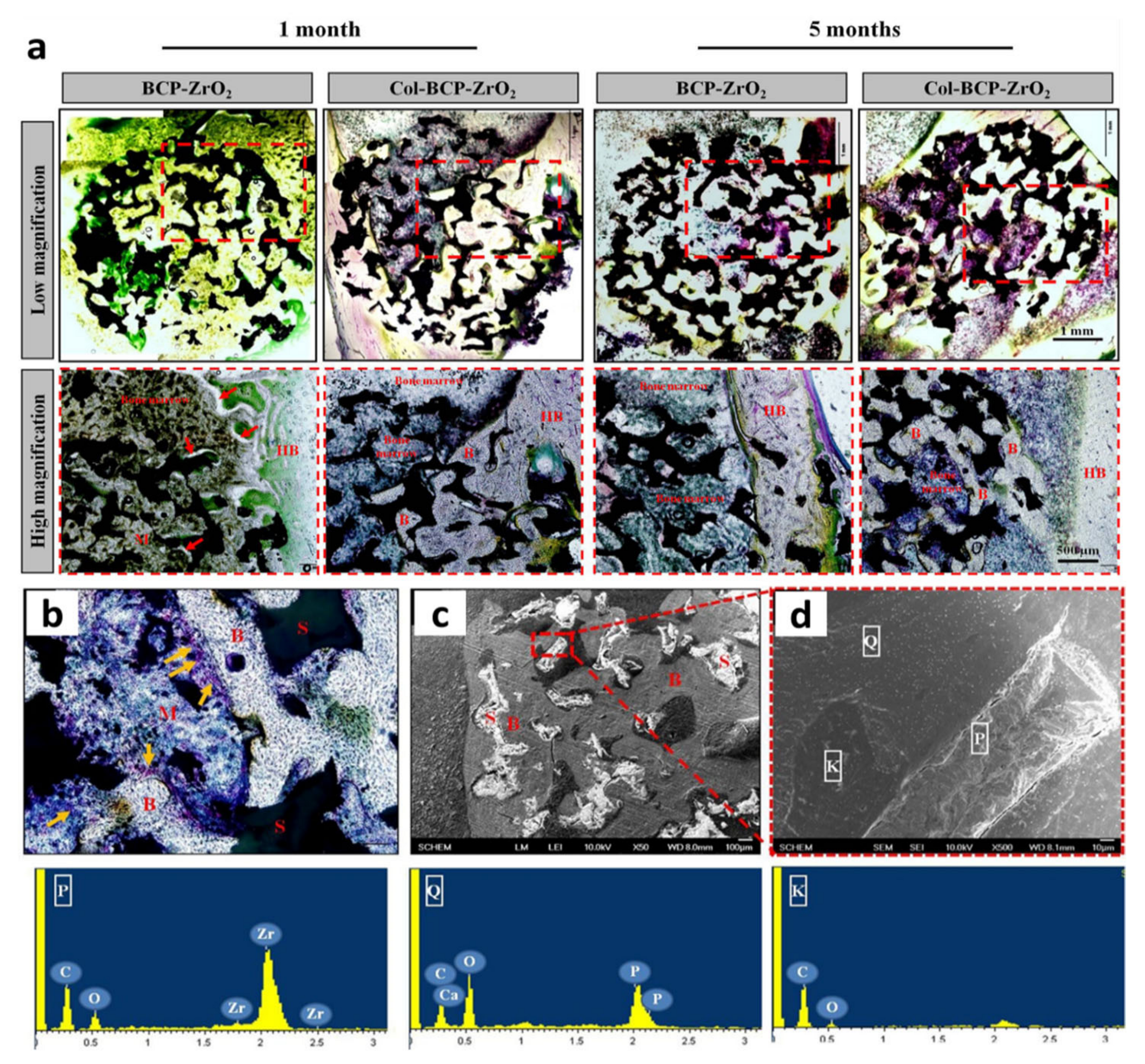 Materials 14 03207 g002 Materials 14 03207 g002