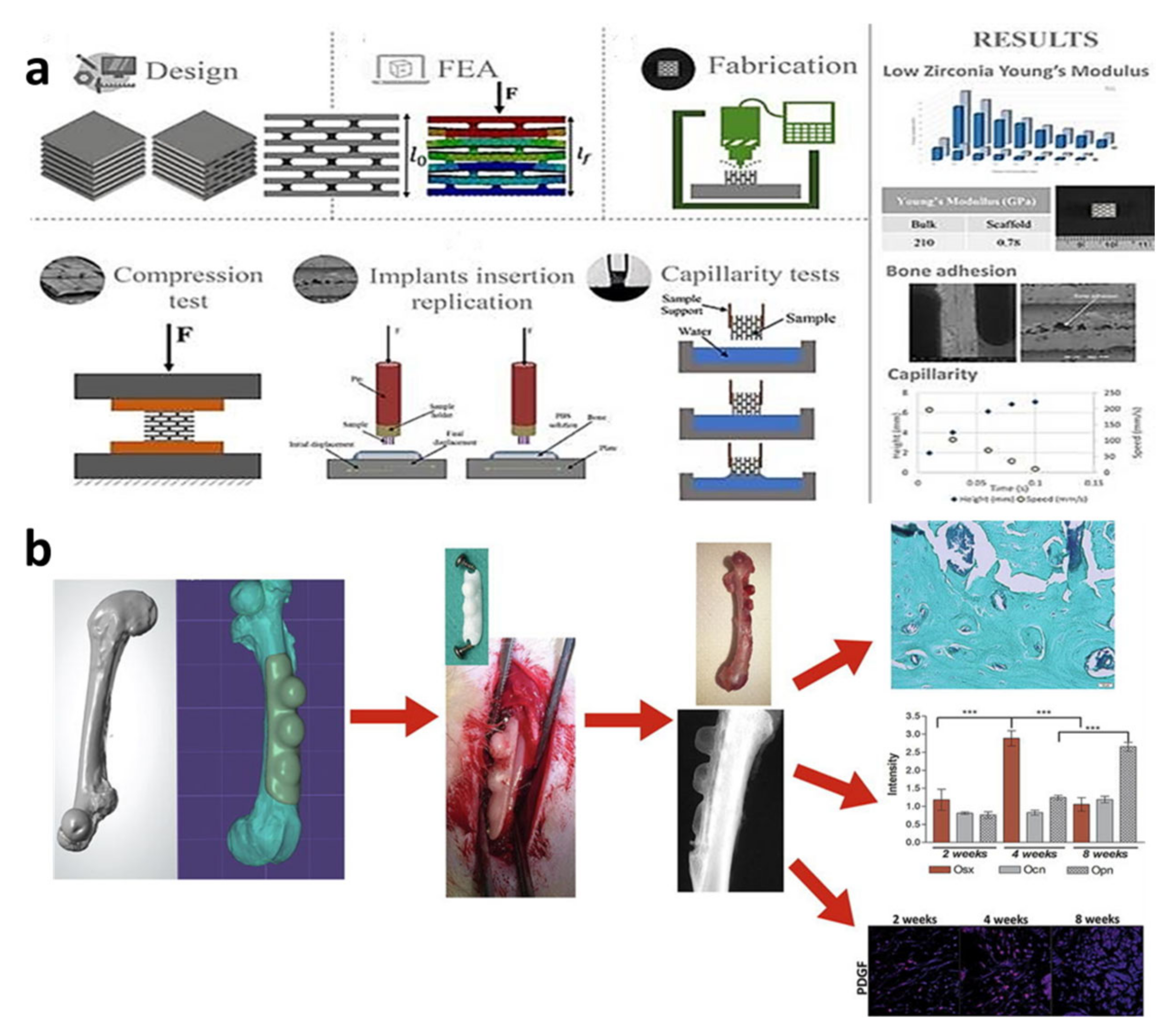 Materials 14 03207 g005 Materials 14 03207 g005