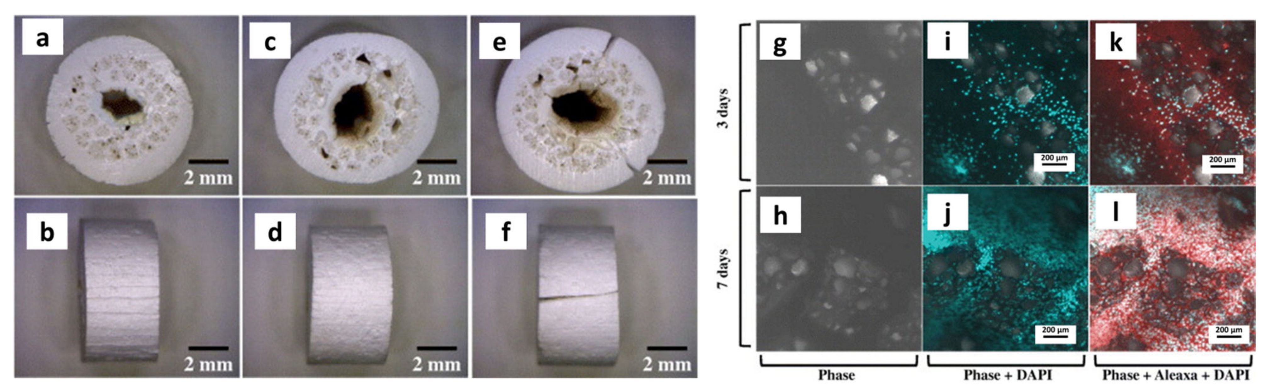 Materials 14 03207 g007 Materials 14 03207 g007