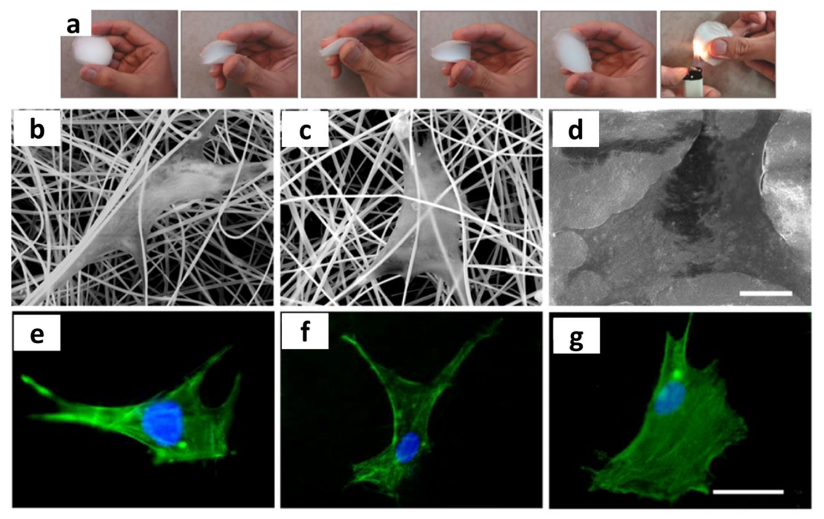 Materials 14 03207 g013 Materials 14 03207 g013