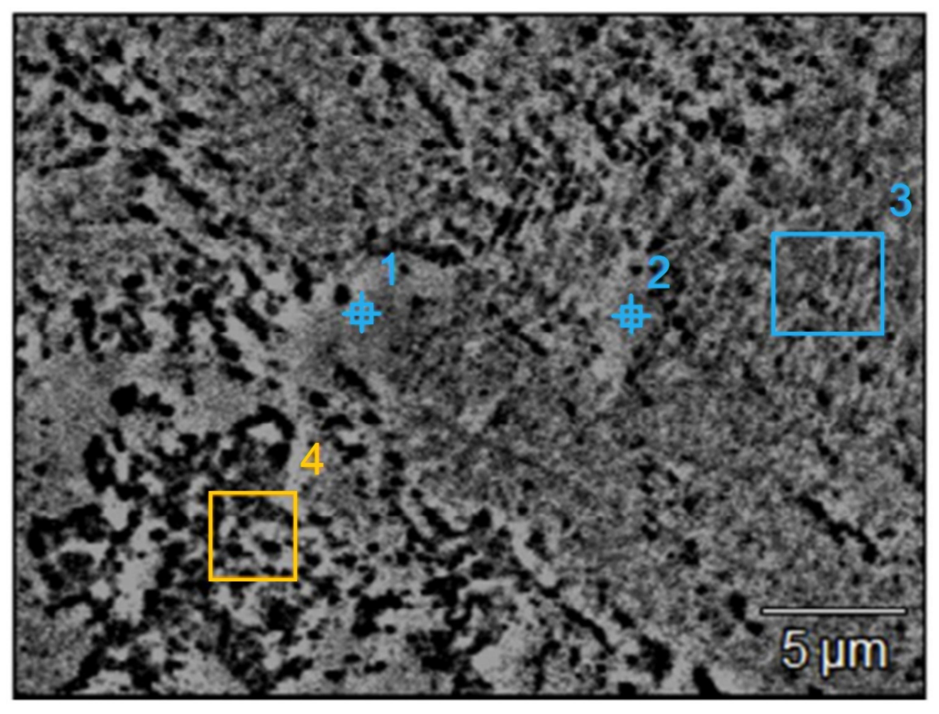 Materials 14 03256 g005