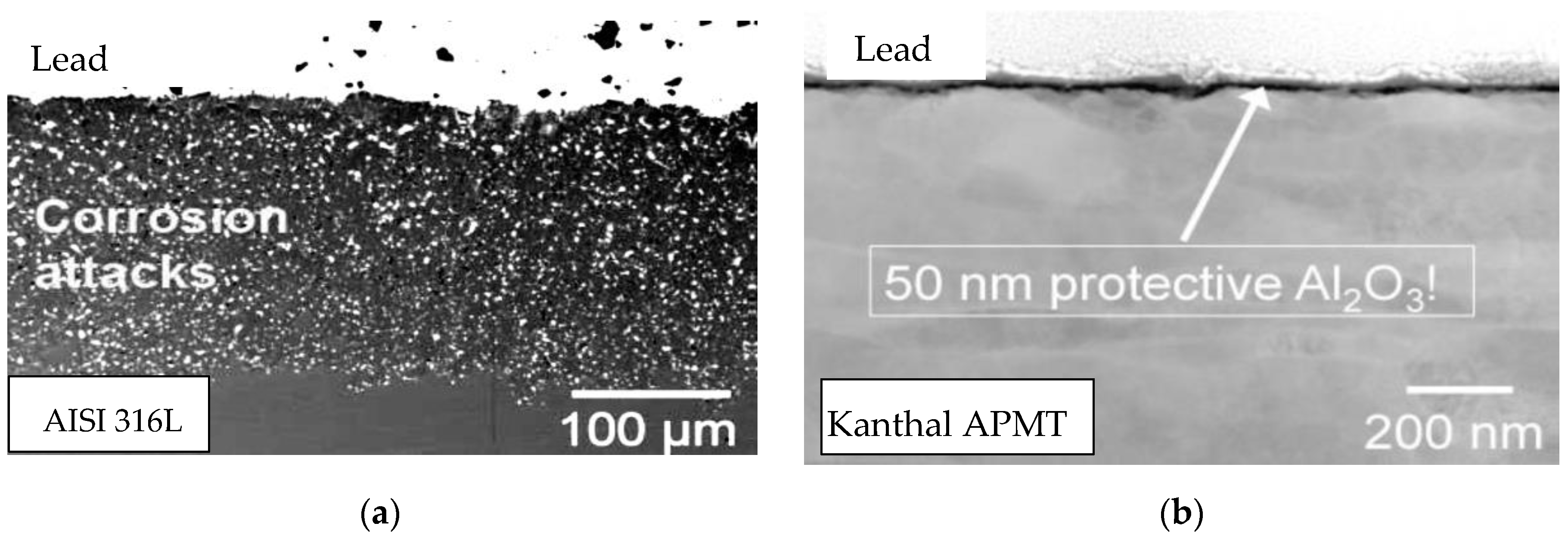 Materials 14 03261 g002