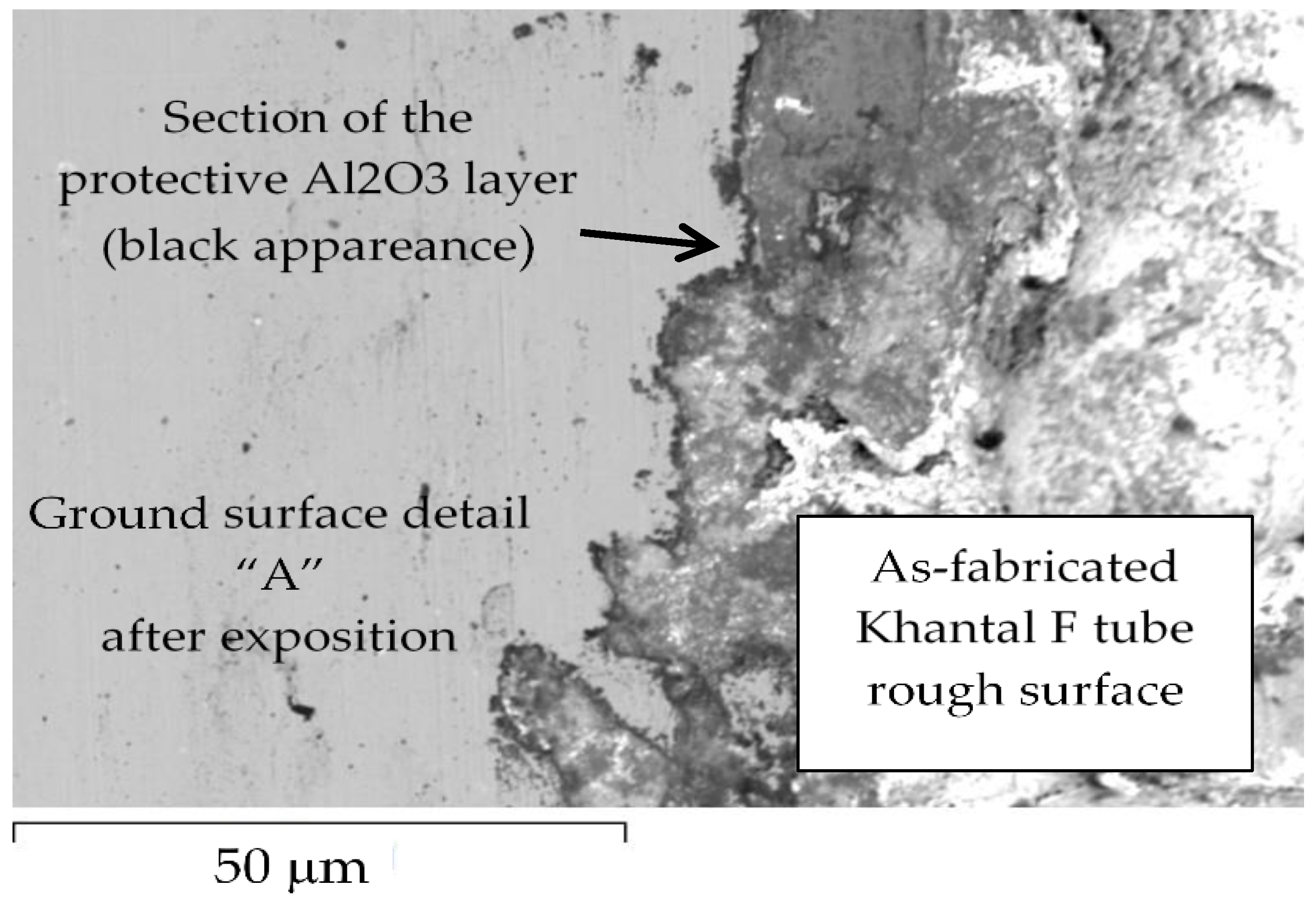 Materials 14 03261 g004