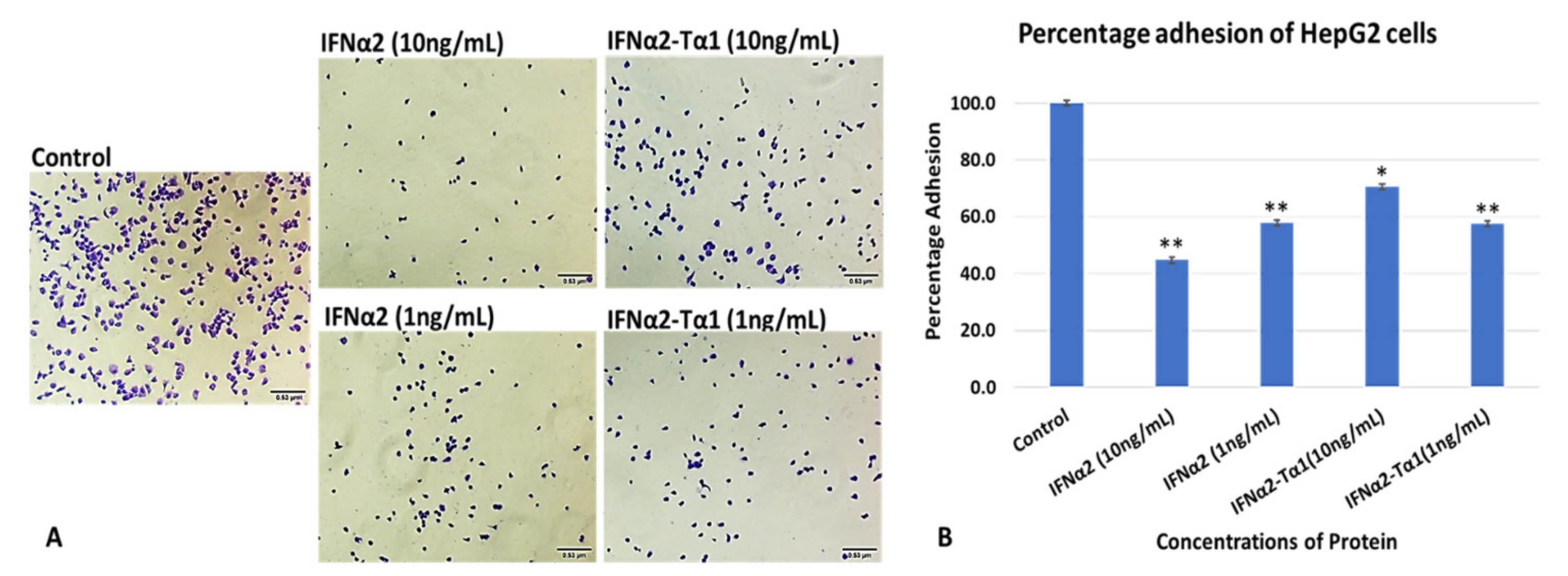 Materials 14 03318 g001 Materials 14 03318 g001