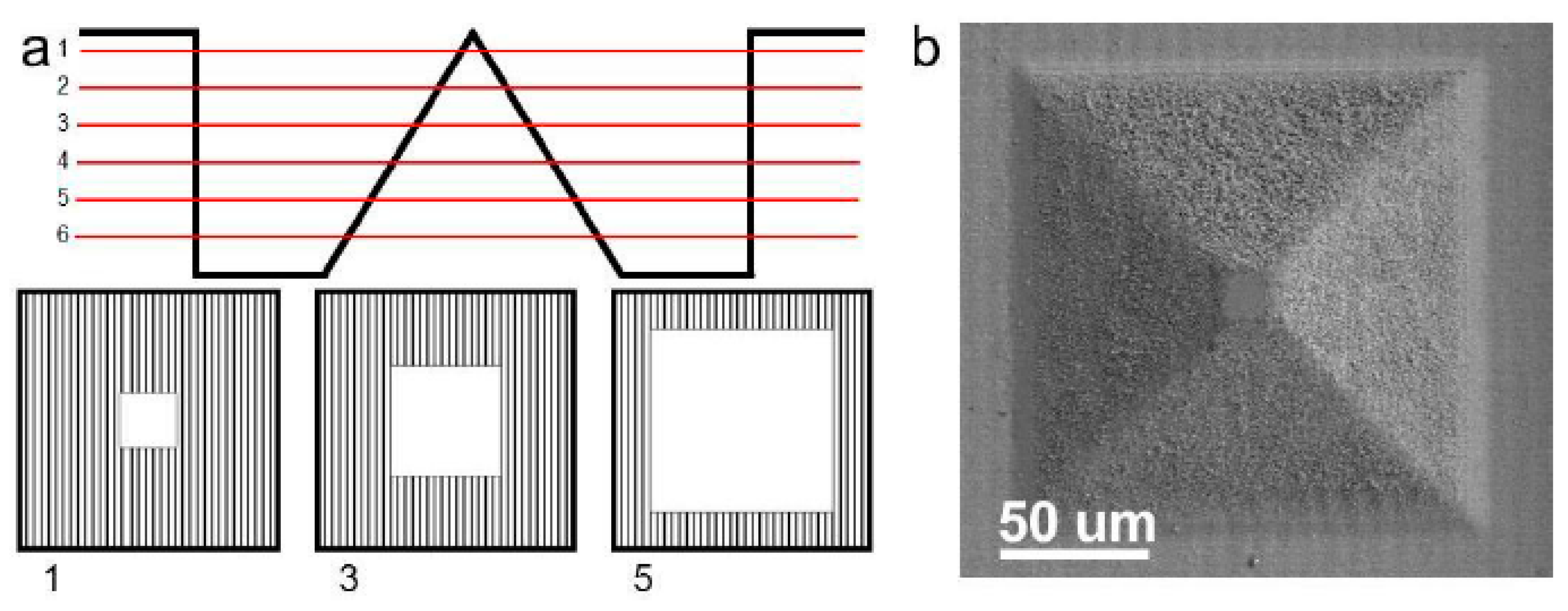 Materials 14 03331 g002
