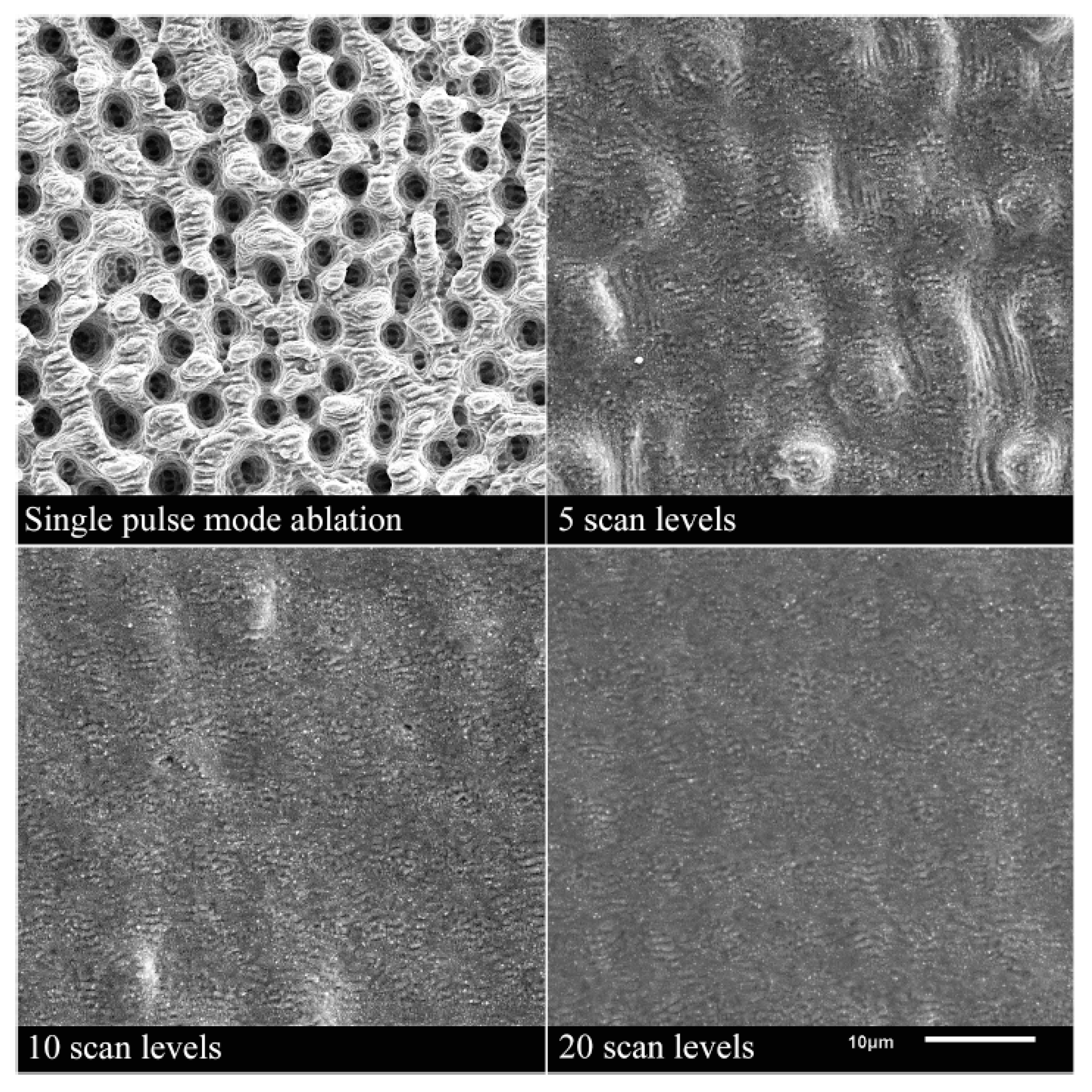 Materials 14 03331 g014