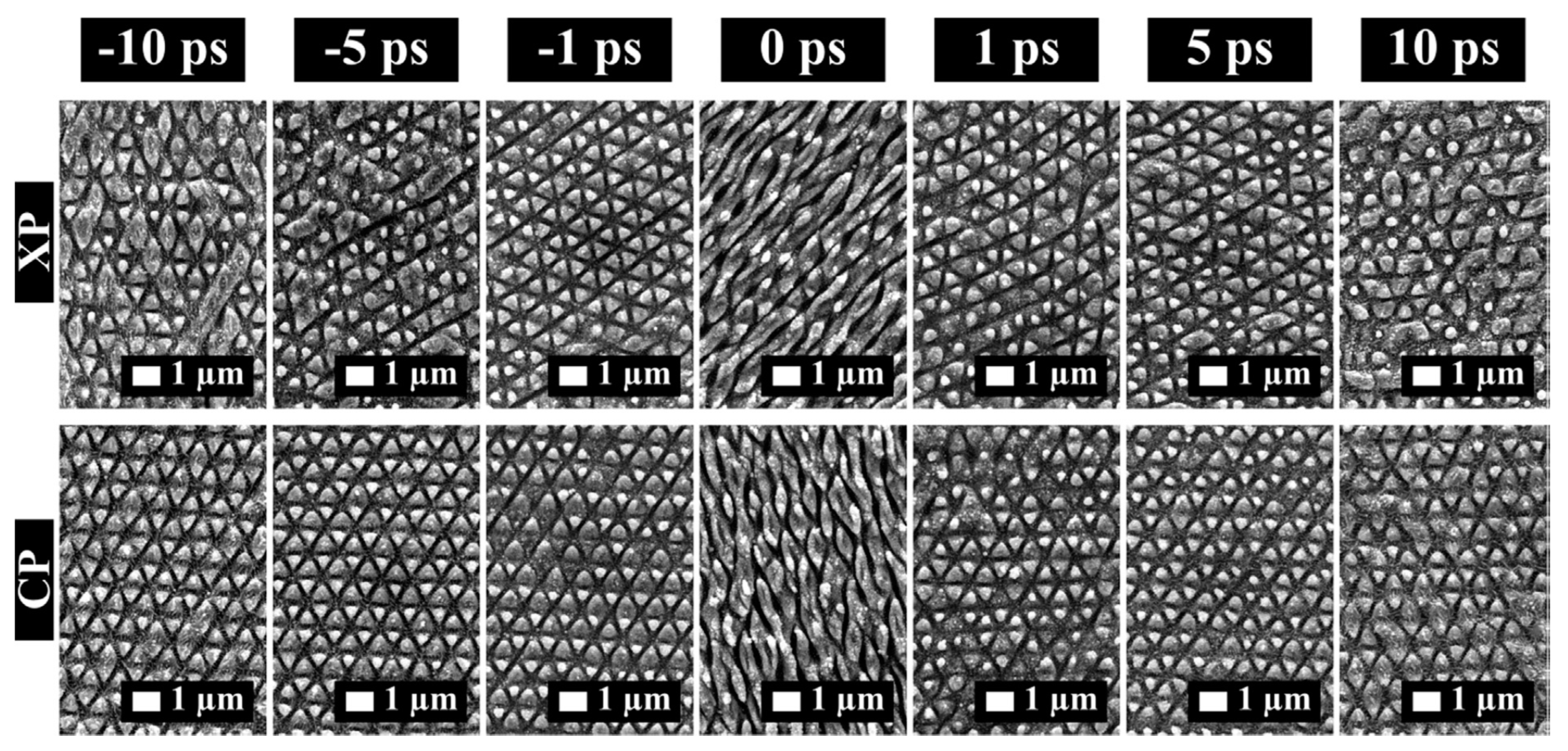 Materials 14 03331 g018