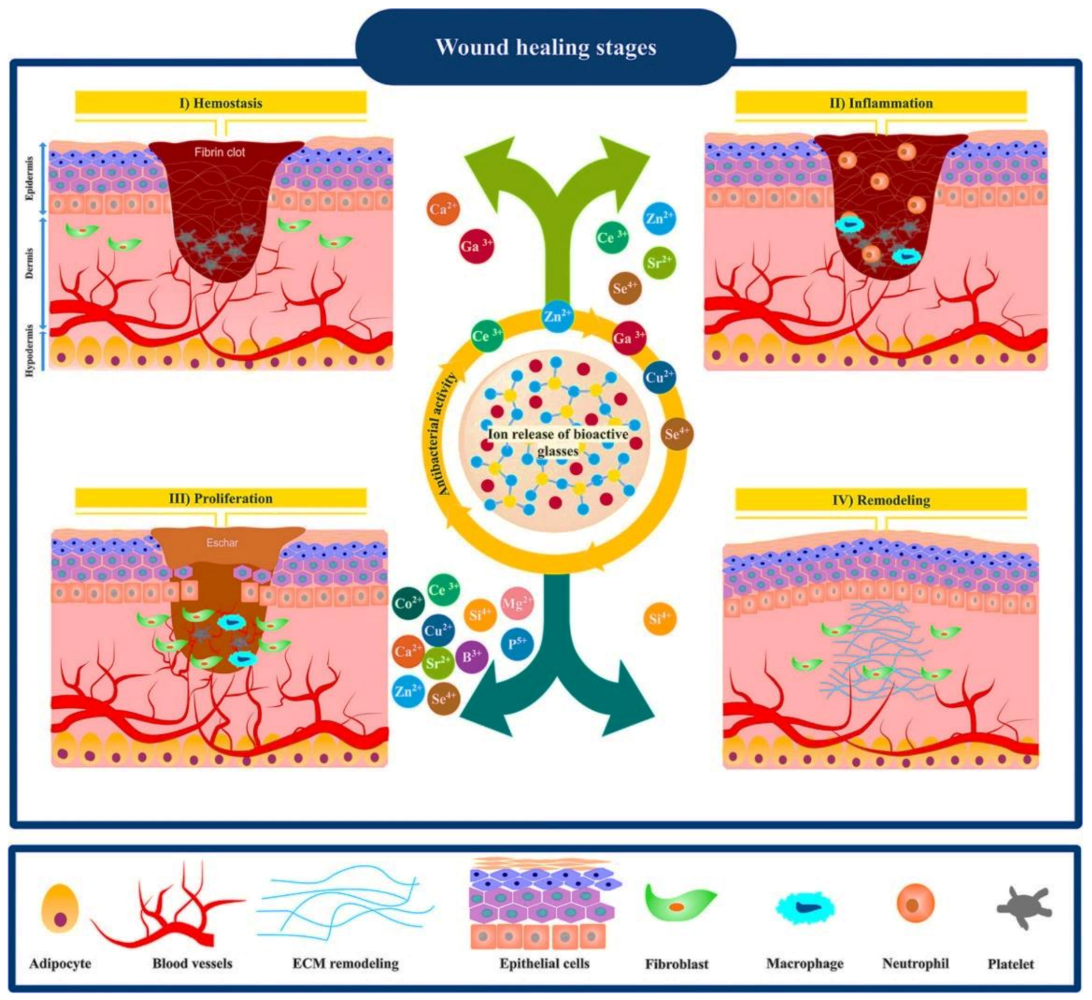 Materials 14 03337 g005 Materials 14 03337 g005