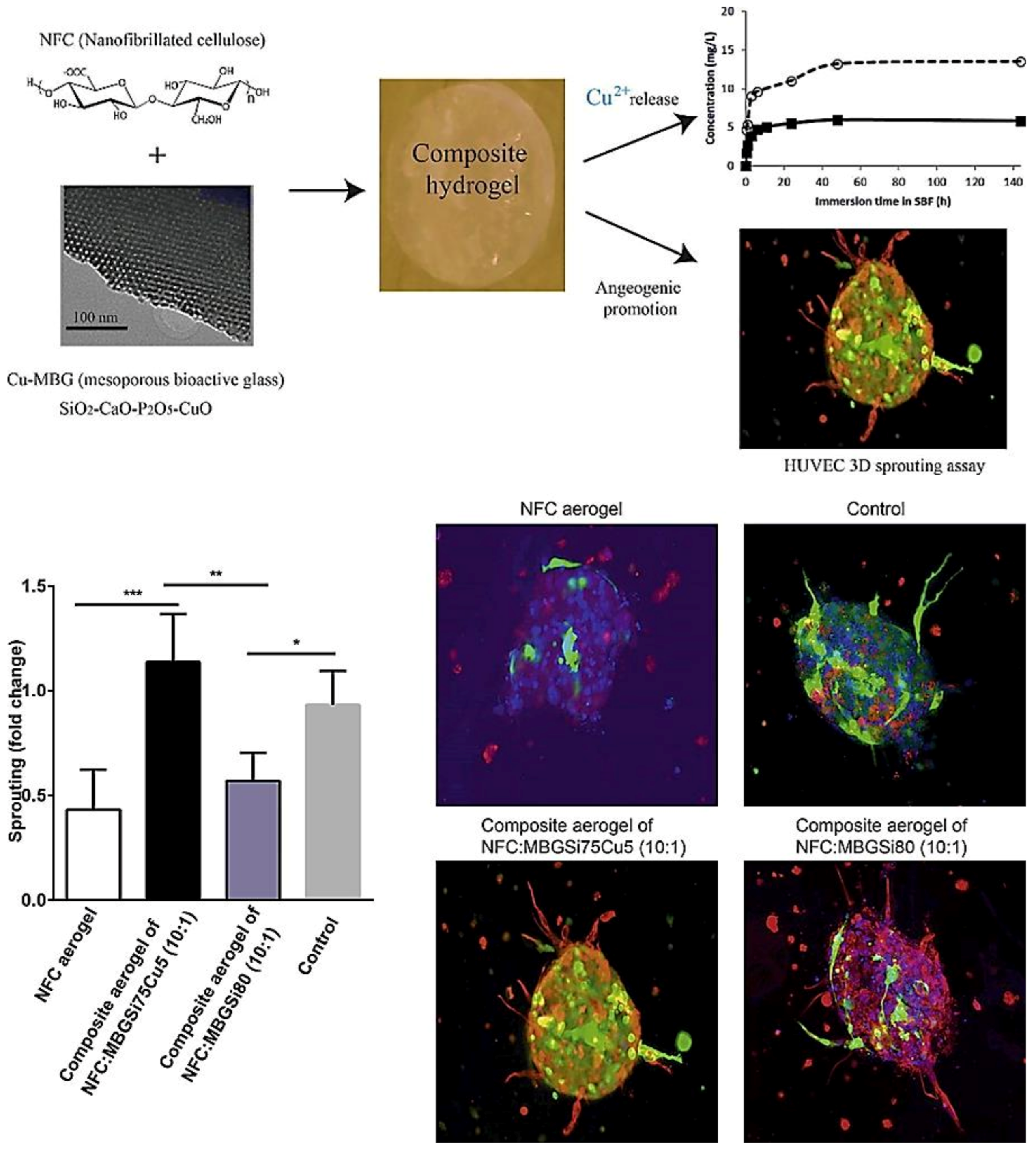 Materials 14 03337 g006 Materials 14 03337 g006
