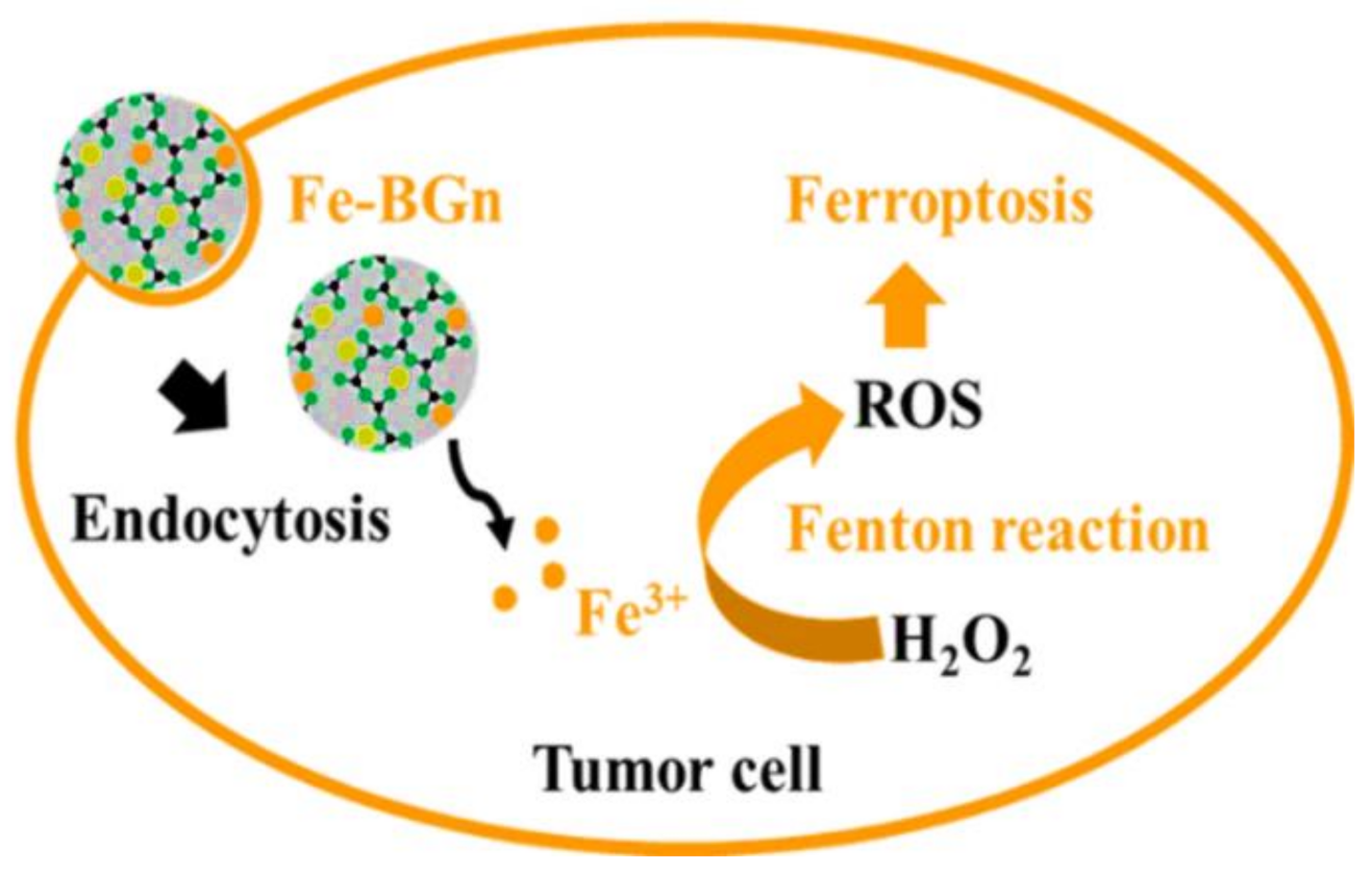 Materials 14 03337 g007 Materials 14 03337 g007