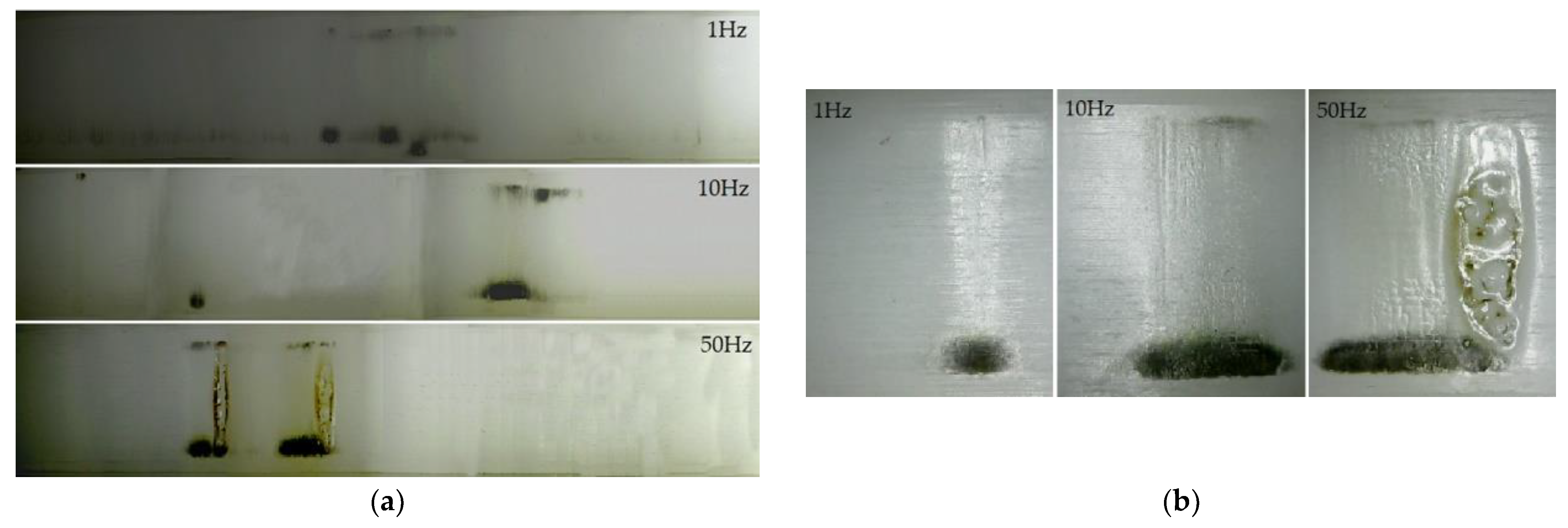 Materials 14 03343 g010