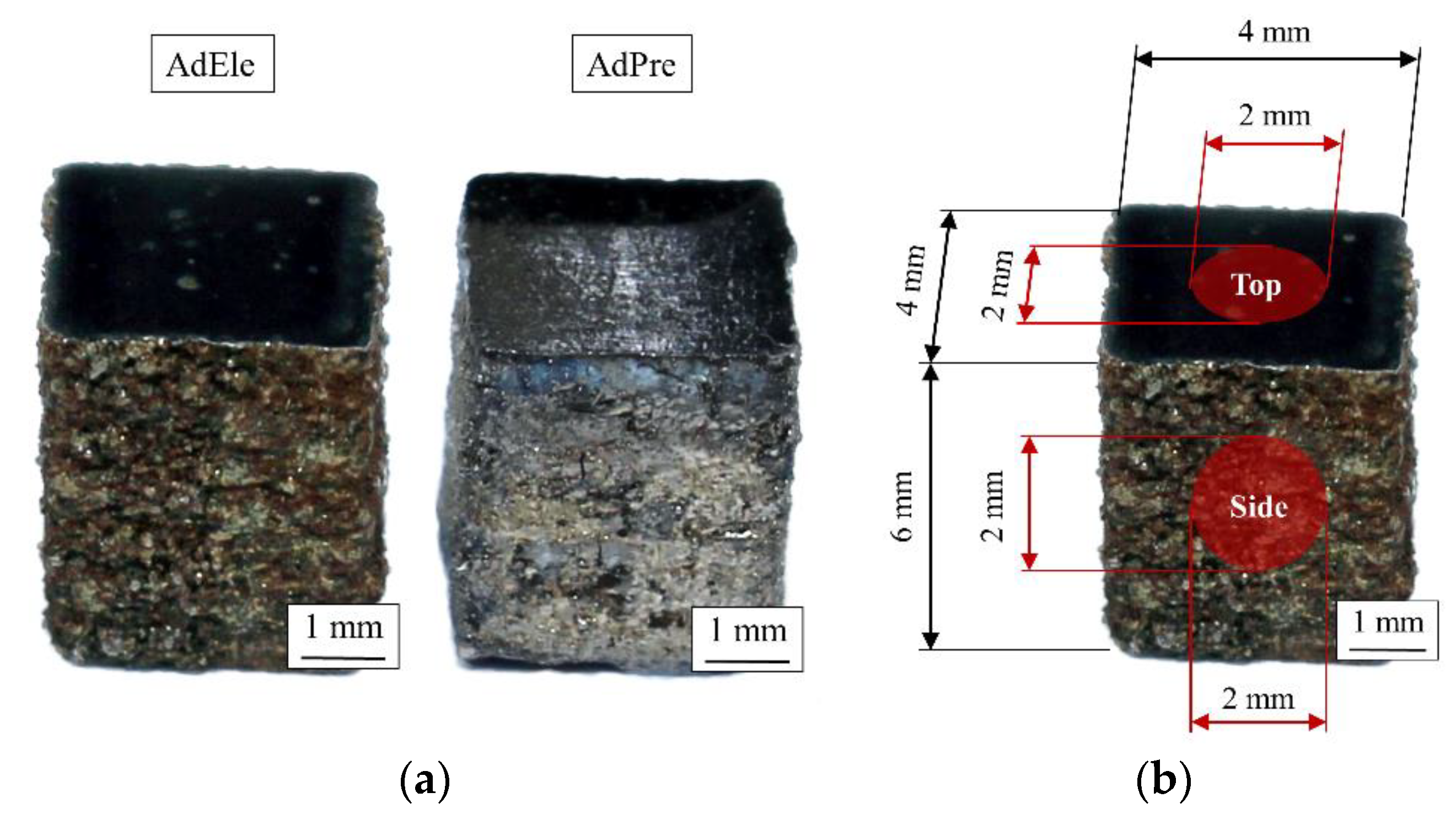 Materials 14 03344 g004 Materials 14 03344 g004