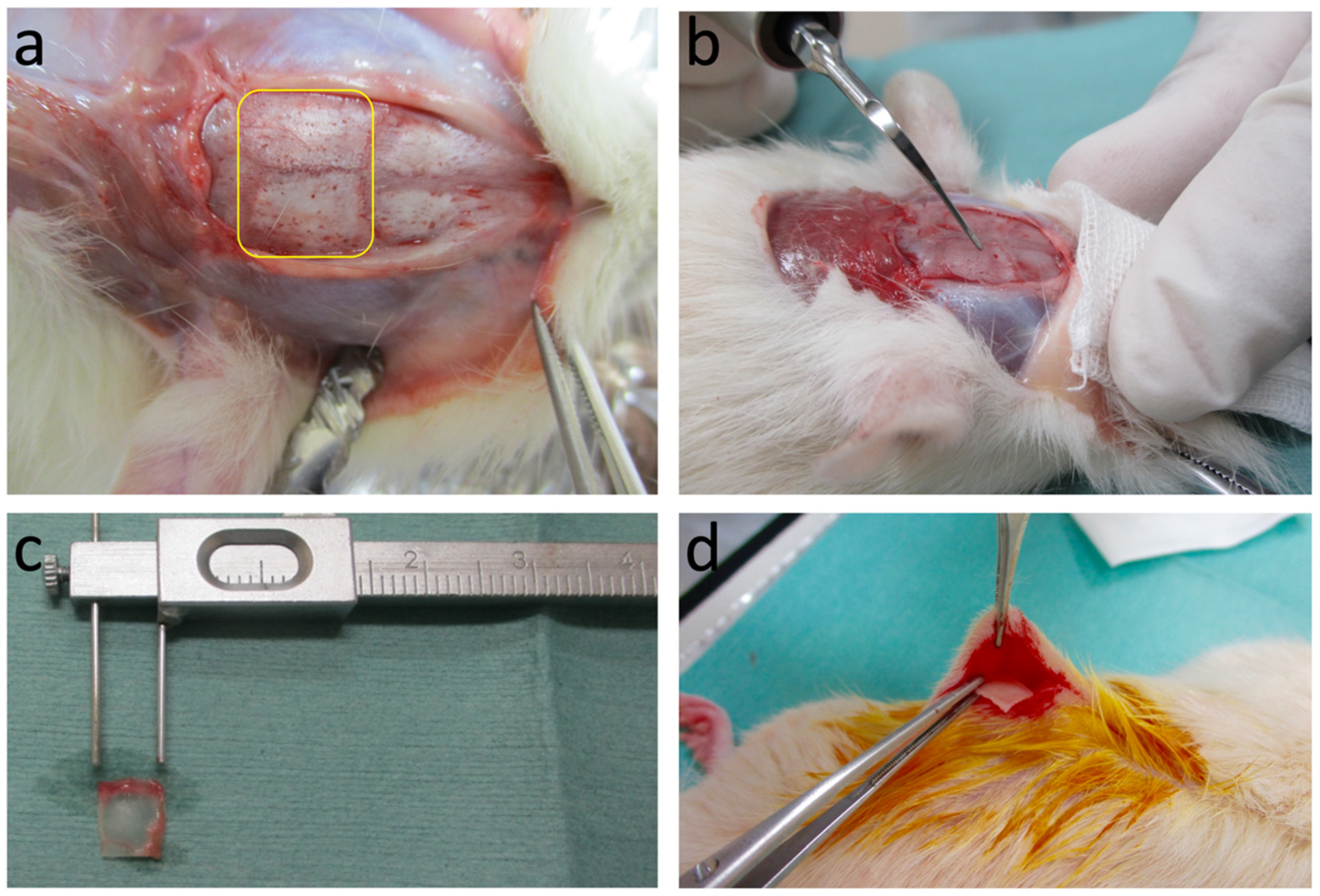 Materials 14 03347 g002 Materials 14 03347 g002