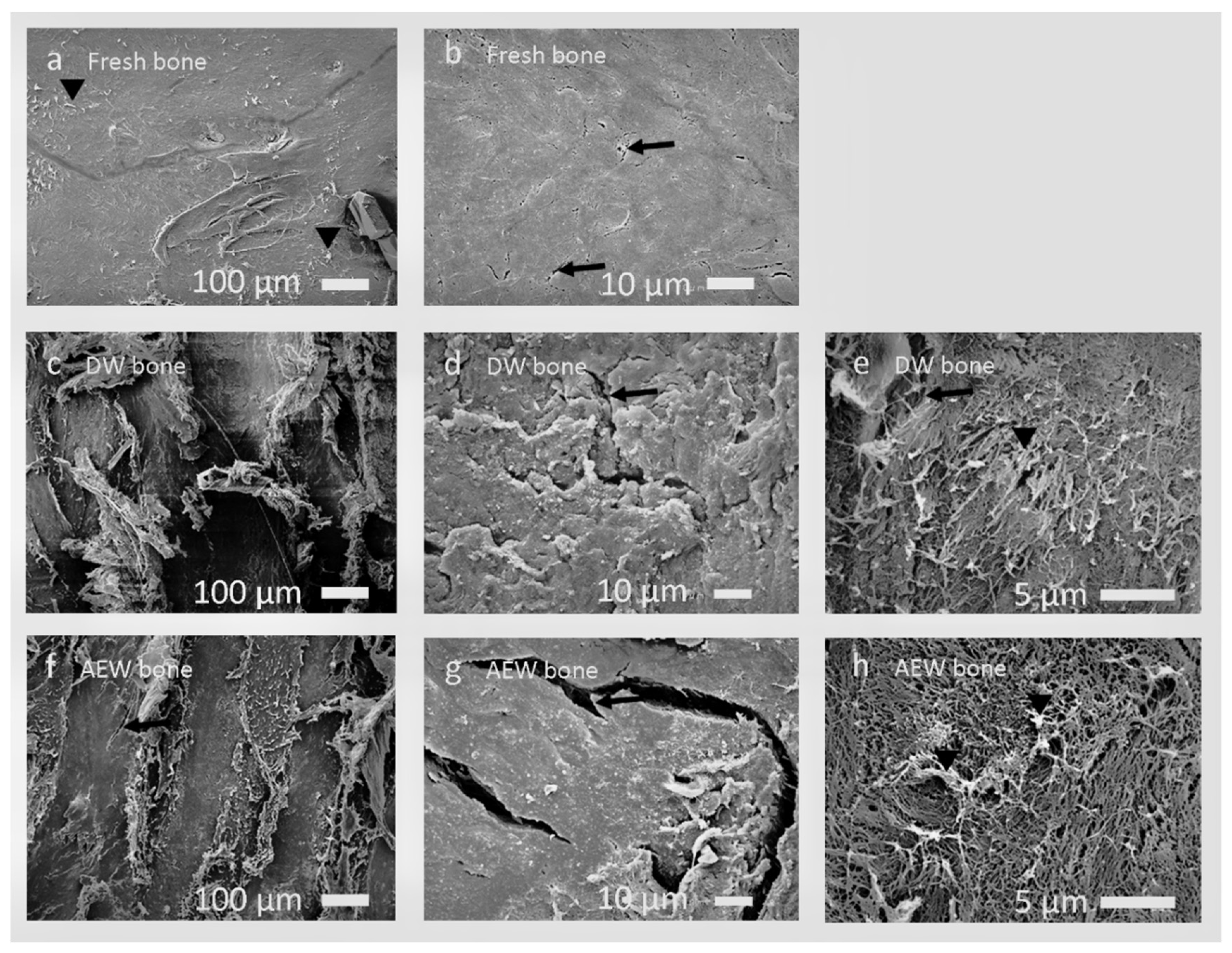 Materials 14 03347 g003 Materials 14 03347 g003